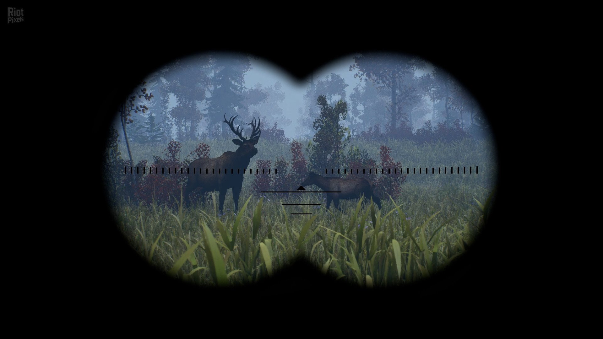 [11]-Open Country – v1.0.0.2636 Download