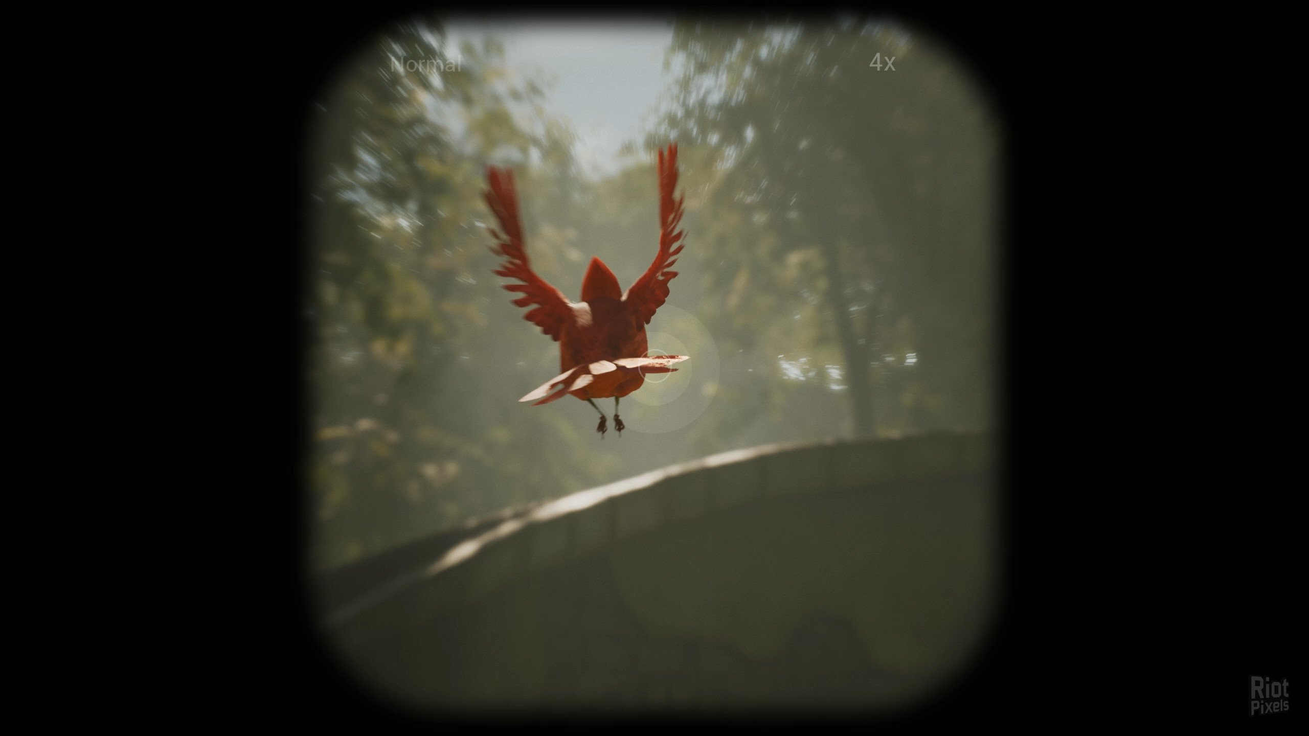 [4]-Morels: The Hunt Download