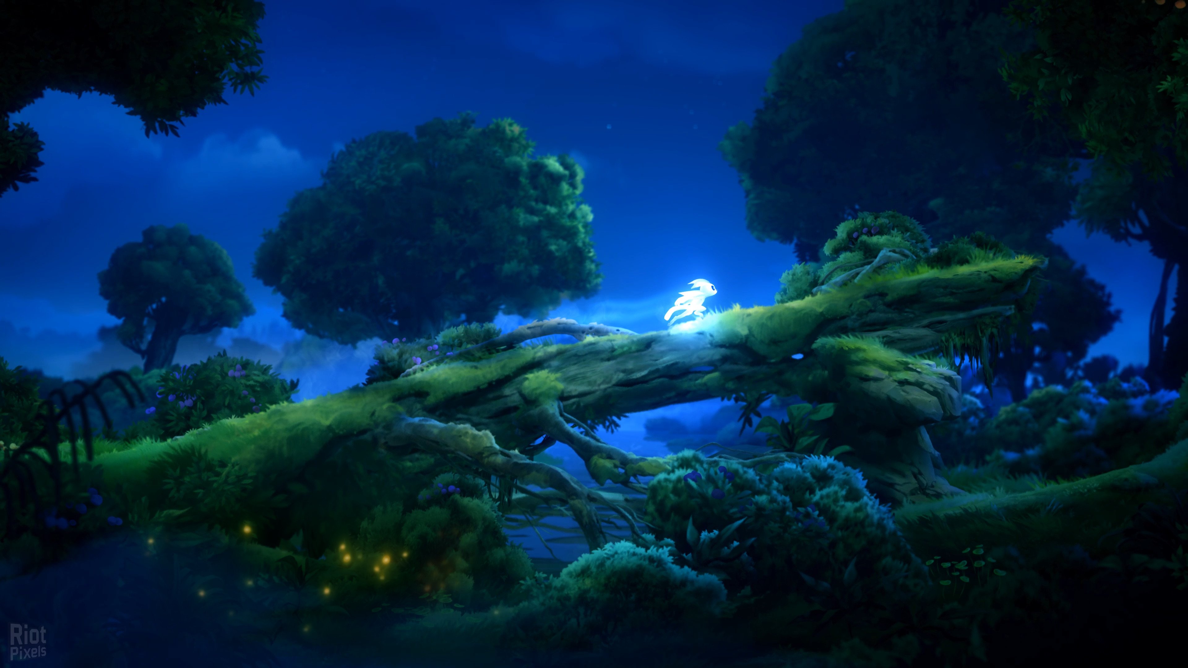 [8]-Ori and the Will of the Wisps Download