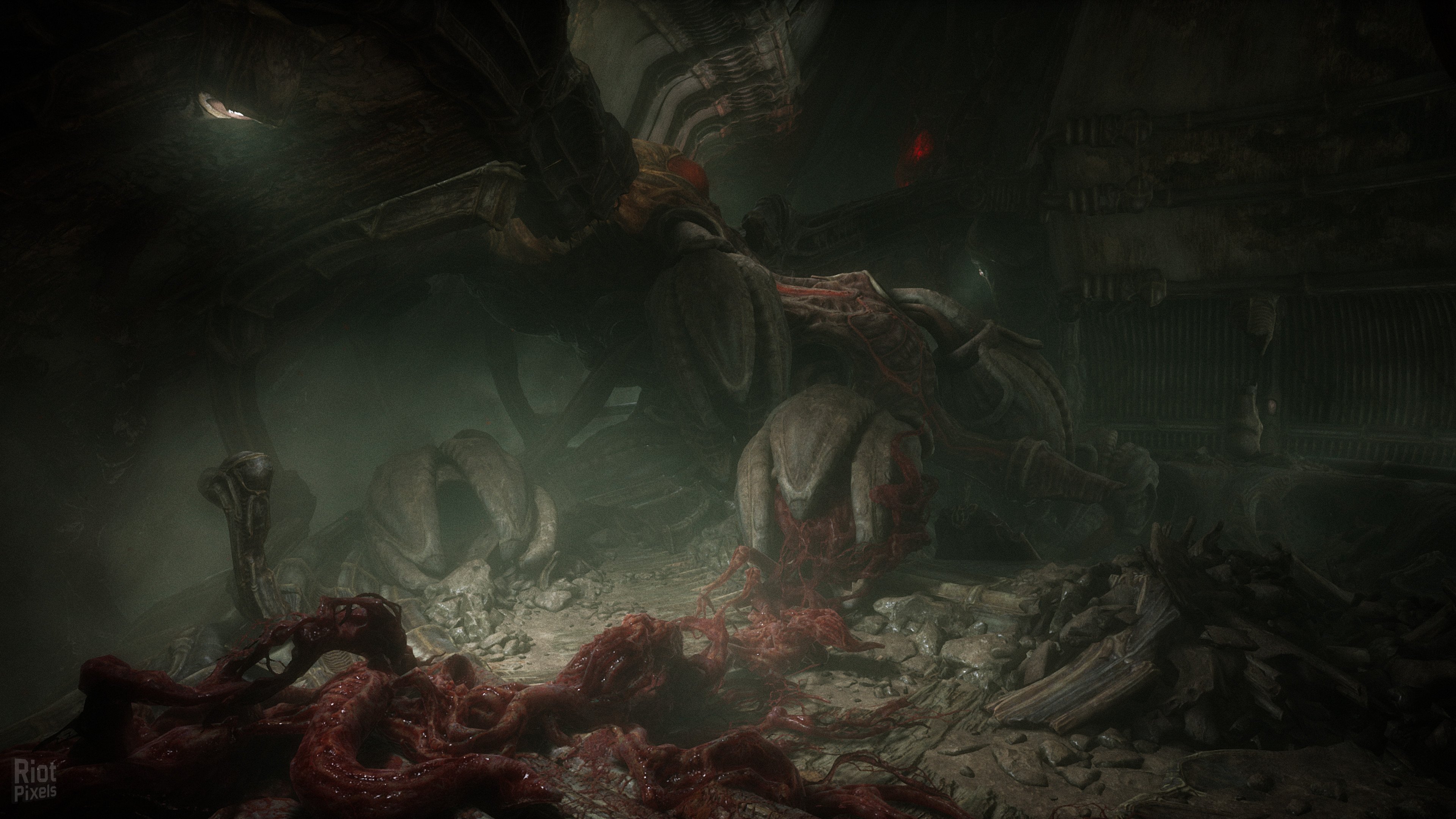 [8]-Scorn: Deluxe Edition, v1.2.2.0 + Bonus Content + Windows 7 Fix Download