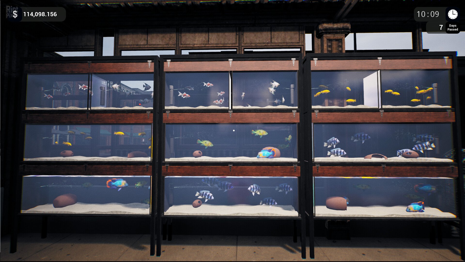 [8]-Exotica: Petshop Simulator – v1.0.6 Download