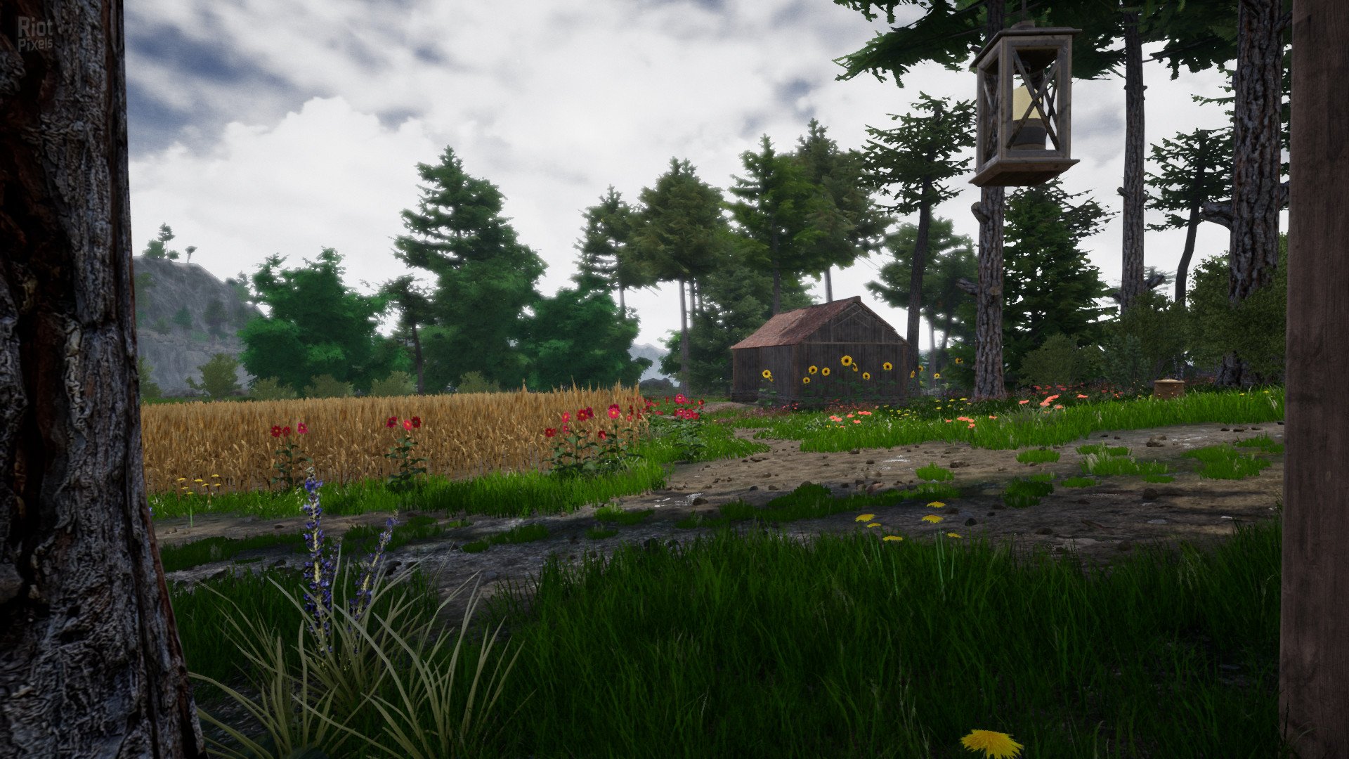 [5]-Horse Riding Deluxe 2 Download