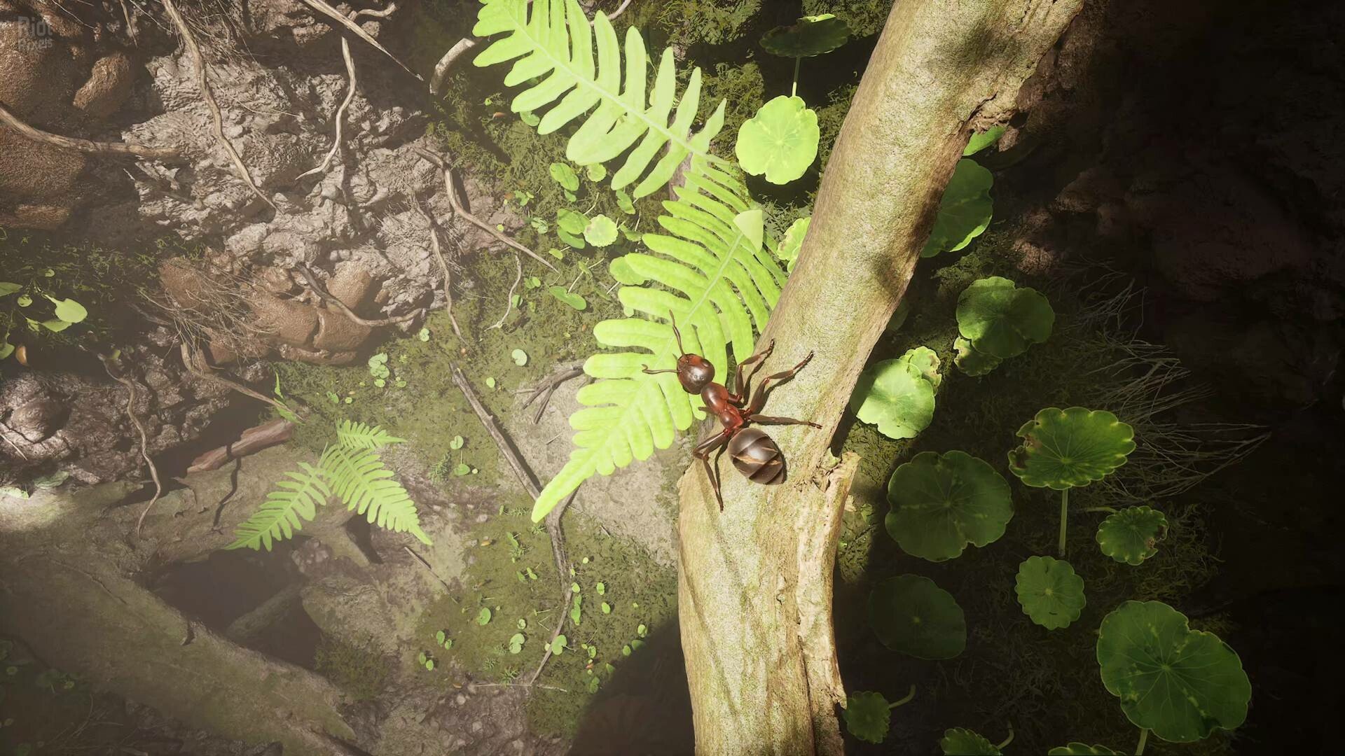 [8]-Empire of the Ants: Digital Deluxe Edition – v1.02.19732 + Bonus Content + Windows 7 Fix Download