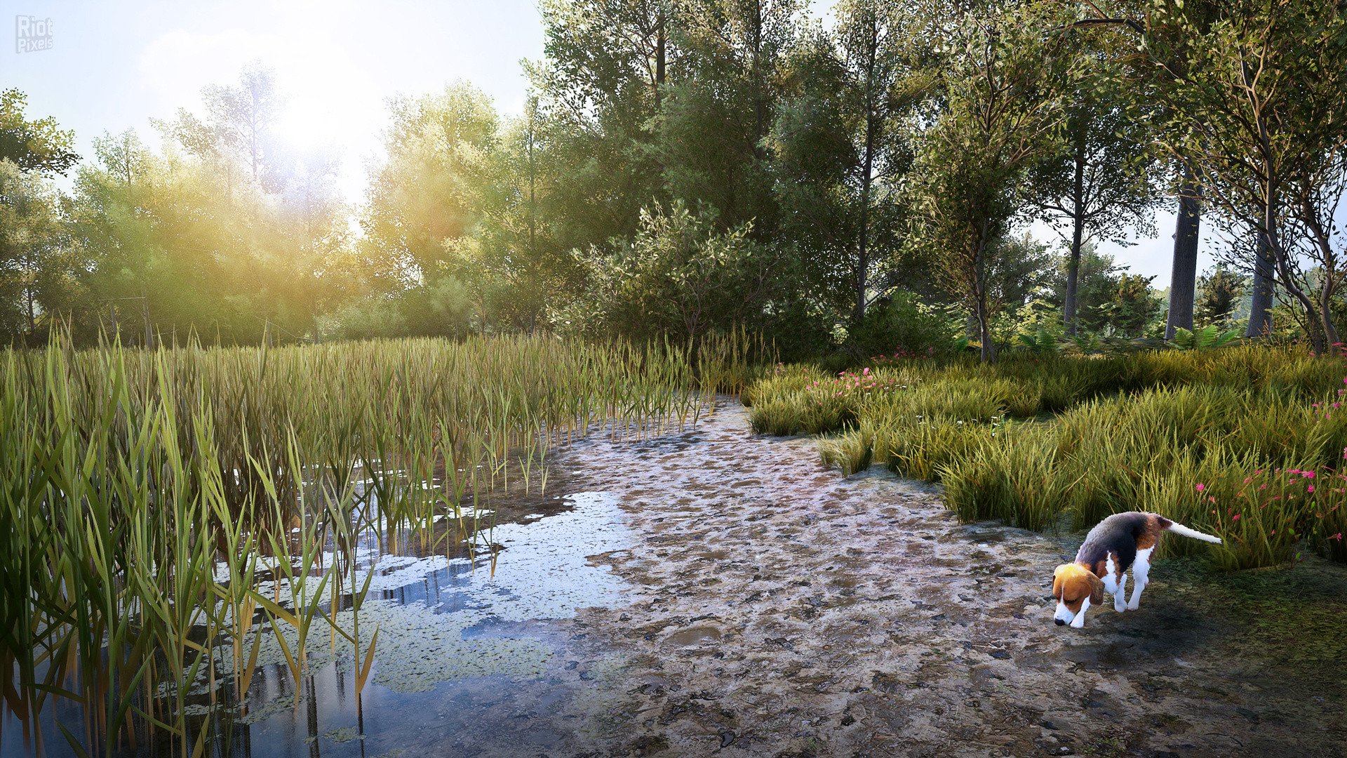 [3]-Hunting Simulator 2: Elite Edition – v1.0.0.311.66949 + 4 DLCs Download
