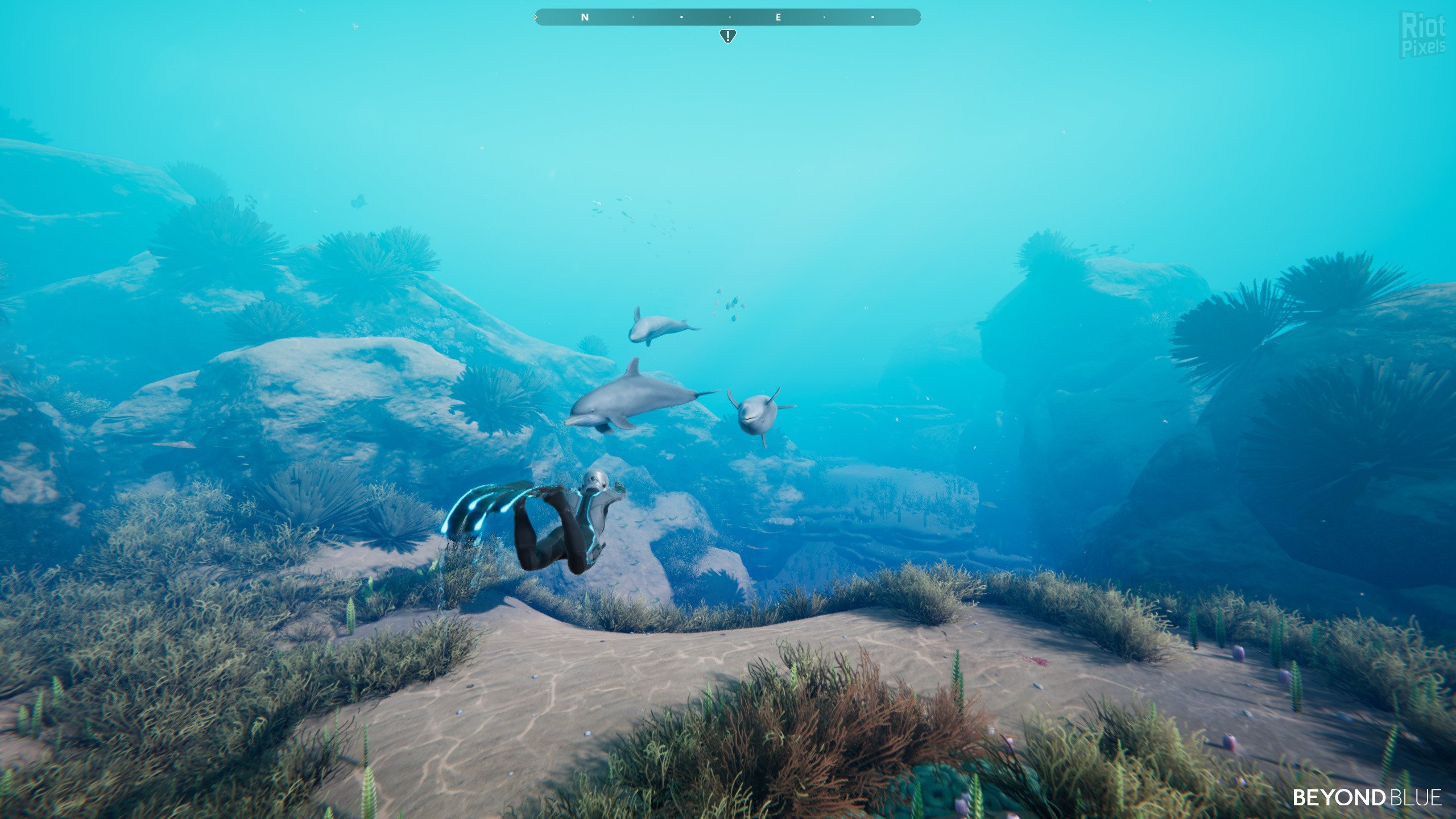 [3]-Beyond Blue – v1.7.17798 Download