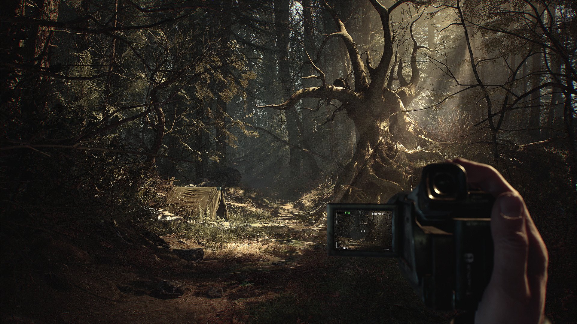[7]-Blair Witch: Deluxe Edition – v08302019/Update 1 Download