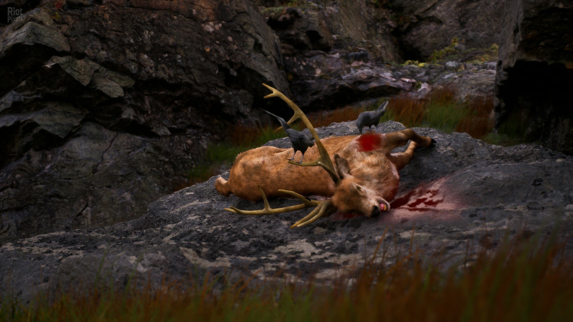 [8]-Once Alive – v0.9.9.8 Download