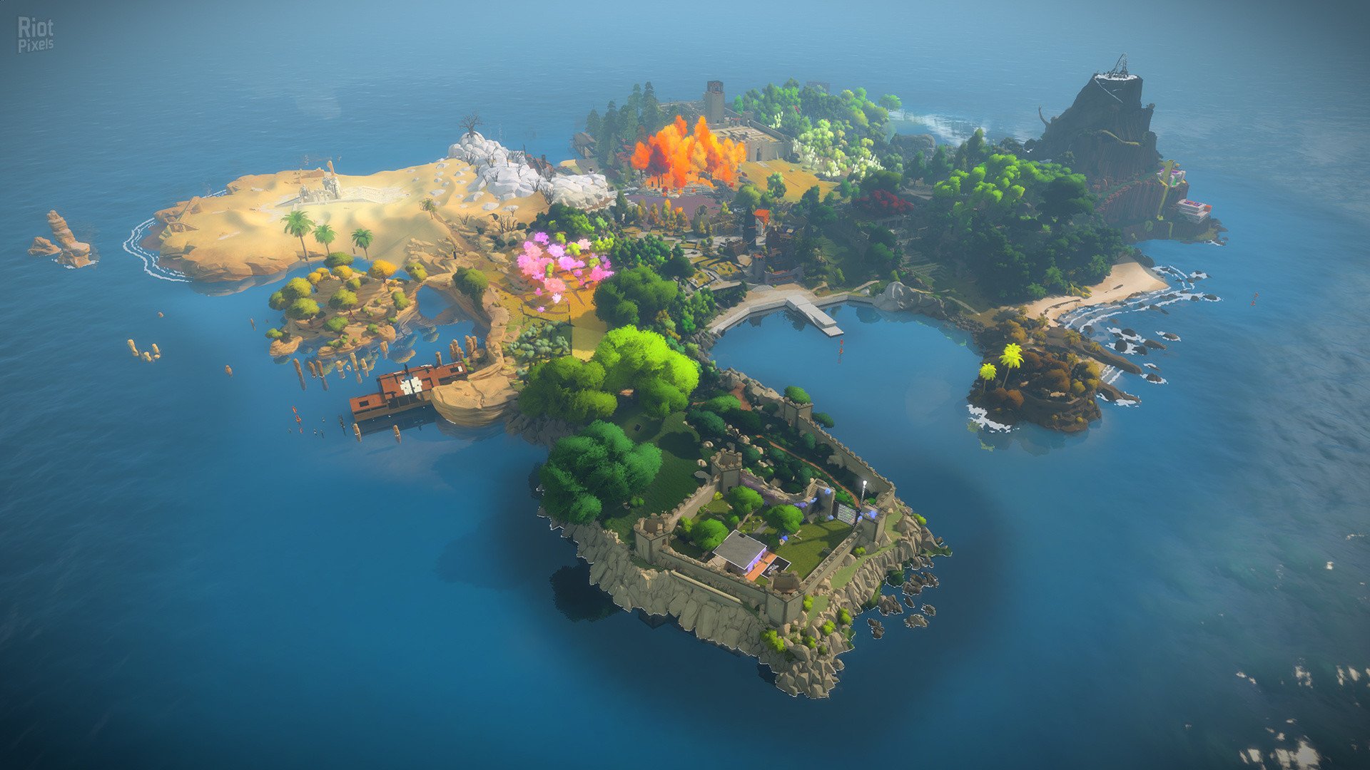 [9]-The Witness Download