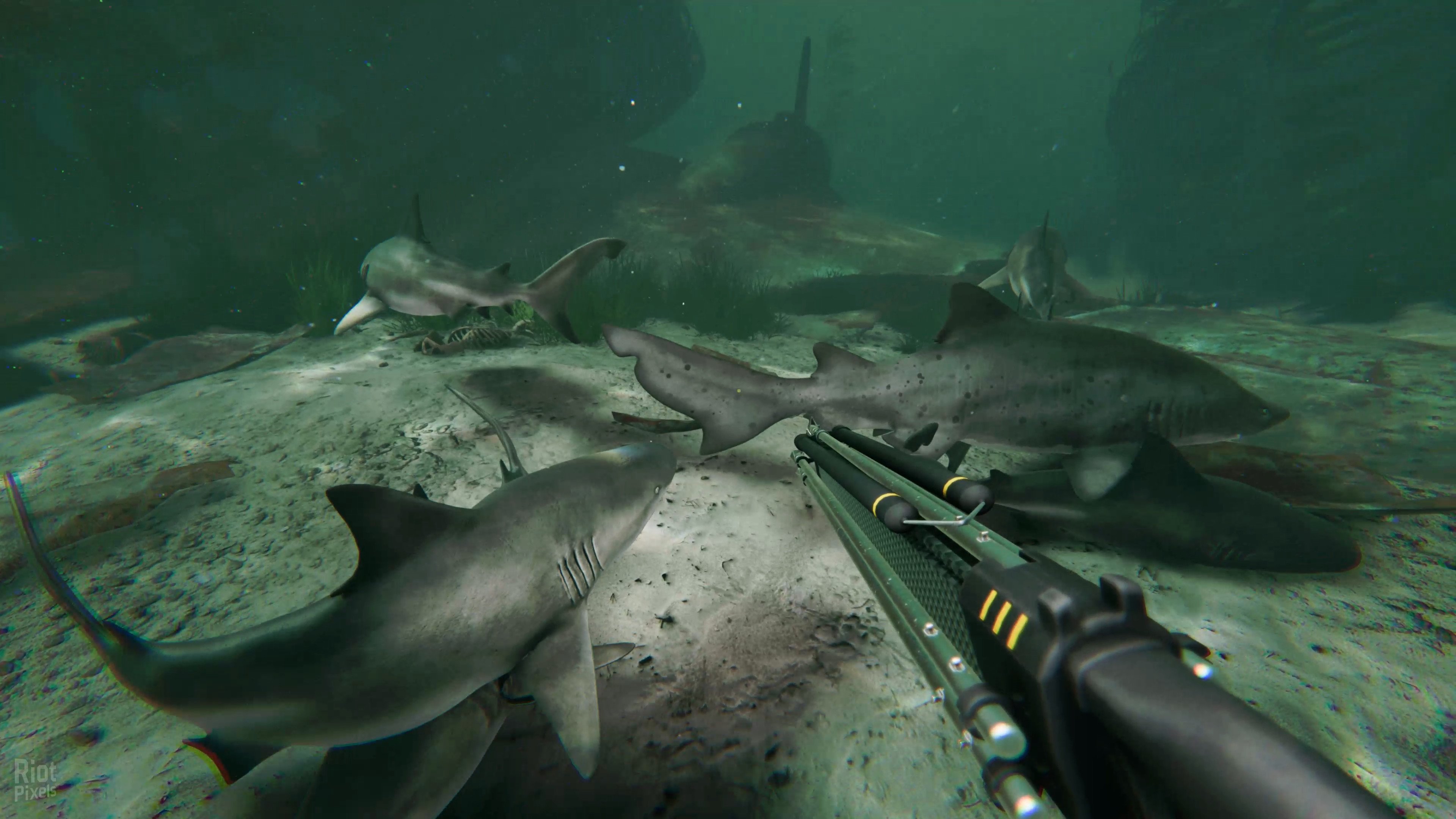 [12]-Death in the Water 2 – v1.1.10 Download