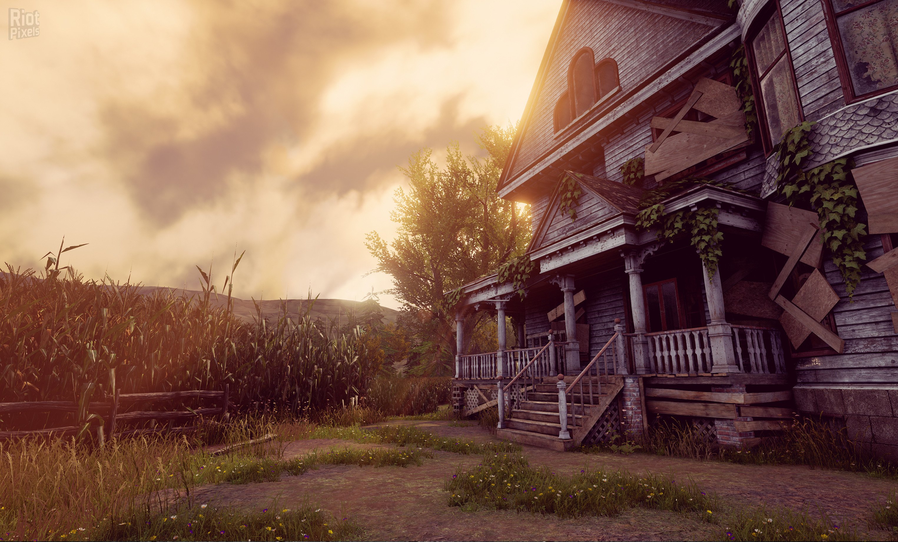 [12]-Maize Download