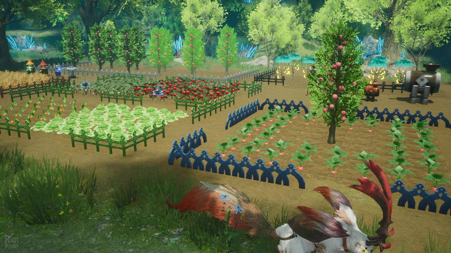 [12]-HARVESTELLA Download
