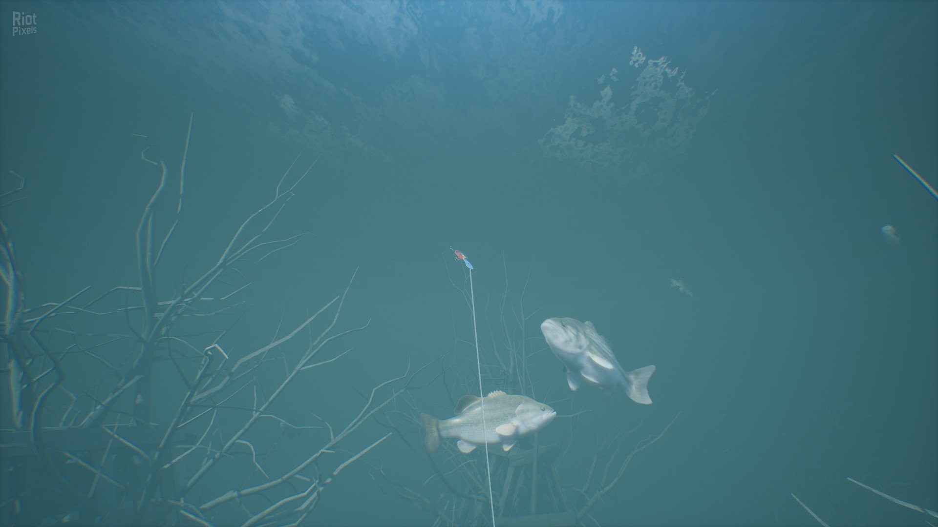 [7]-Bassmaster Fishing 2022 – v0.5.64041.0 + 7 DLCs Download