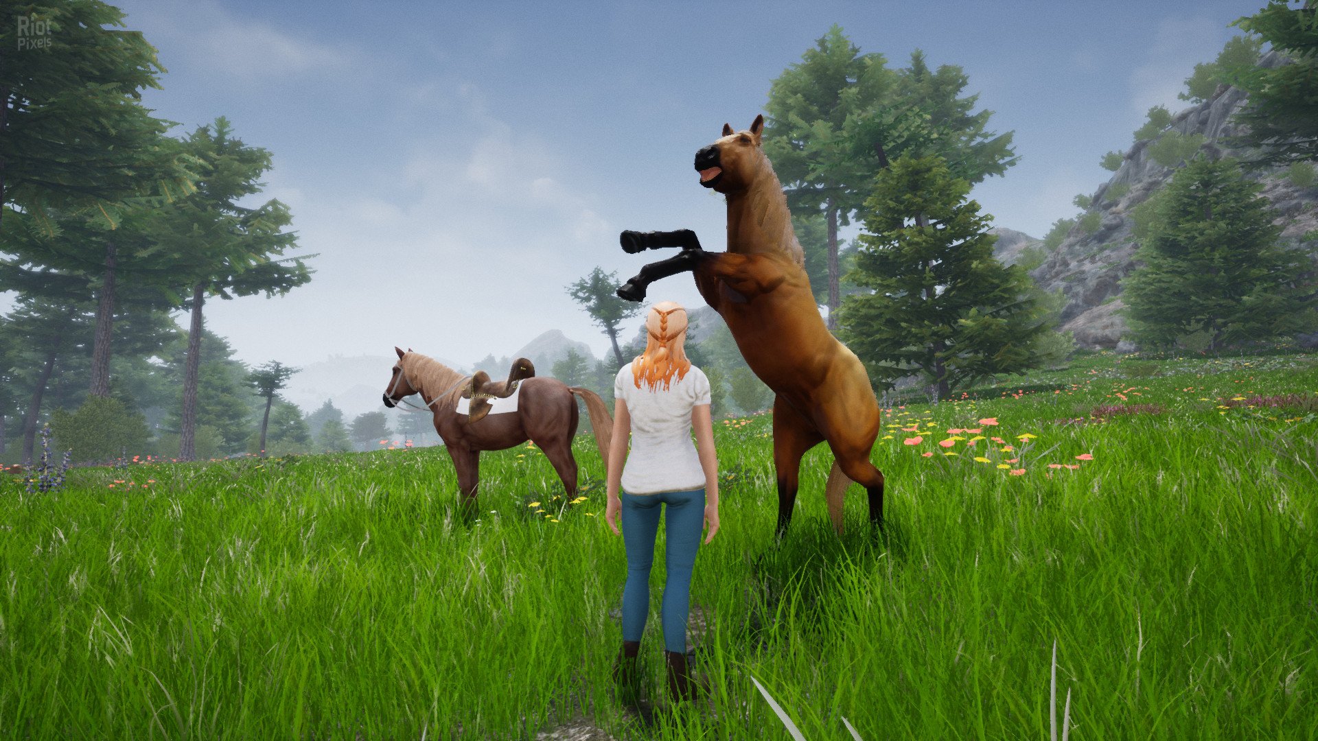 [15]-Horse Riding Deluxe 2 Download