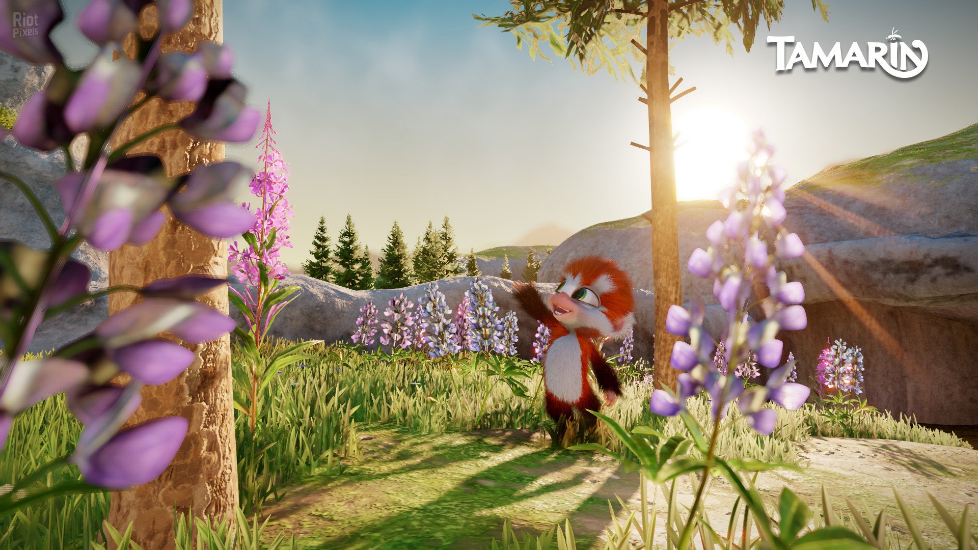 [14]-Tamarin Download