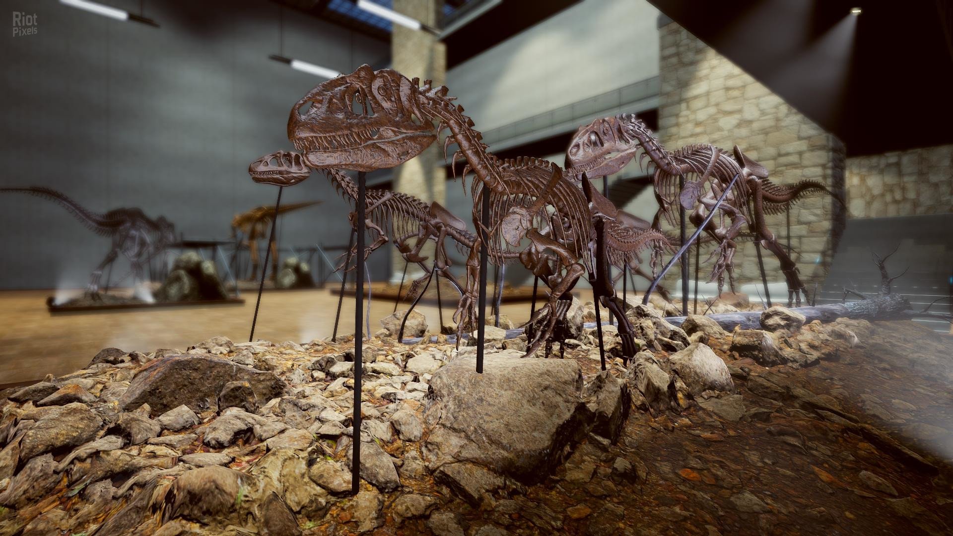 [4]-Dinosaur Fossil Hunter – v2.0.21 Download