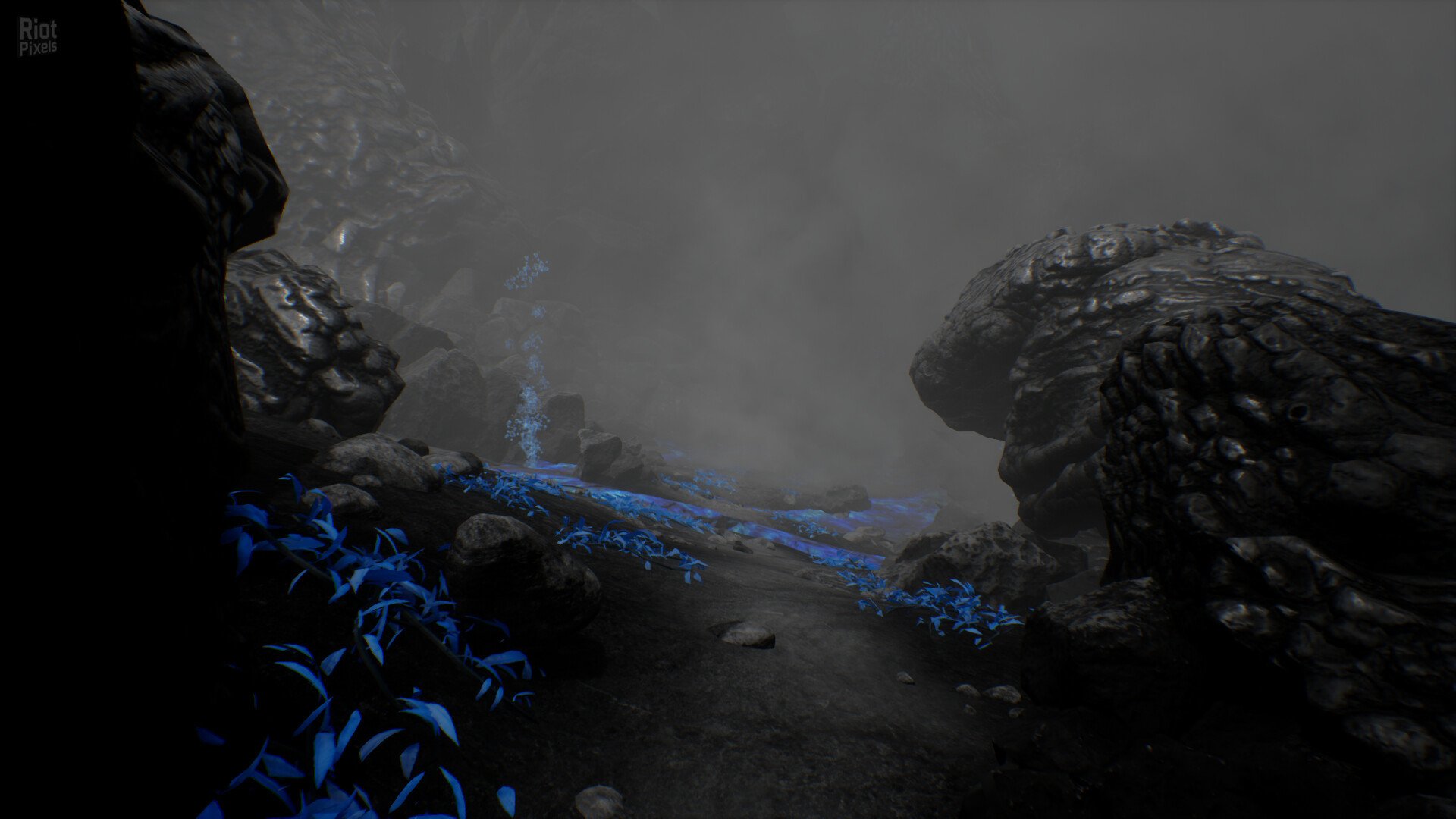 [2]-Rest Download