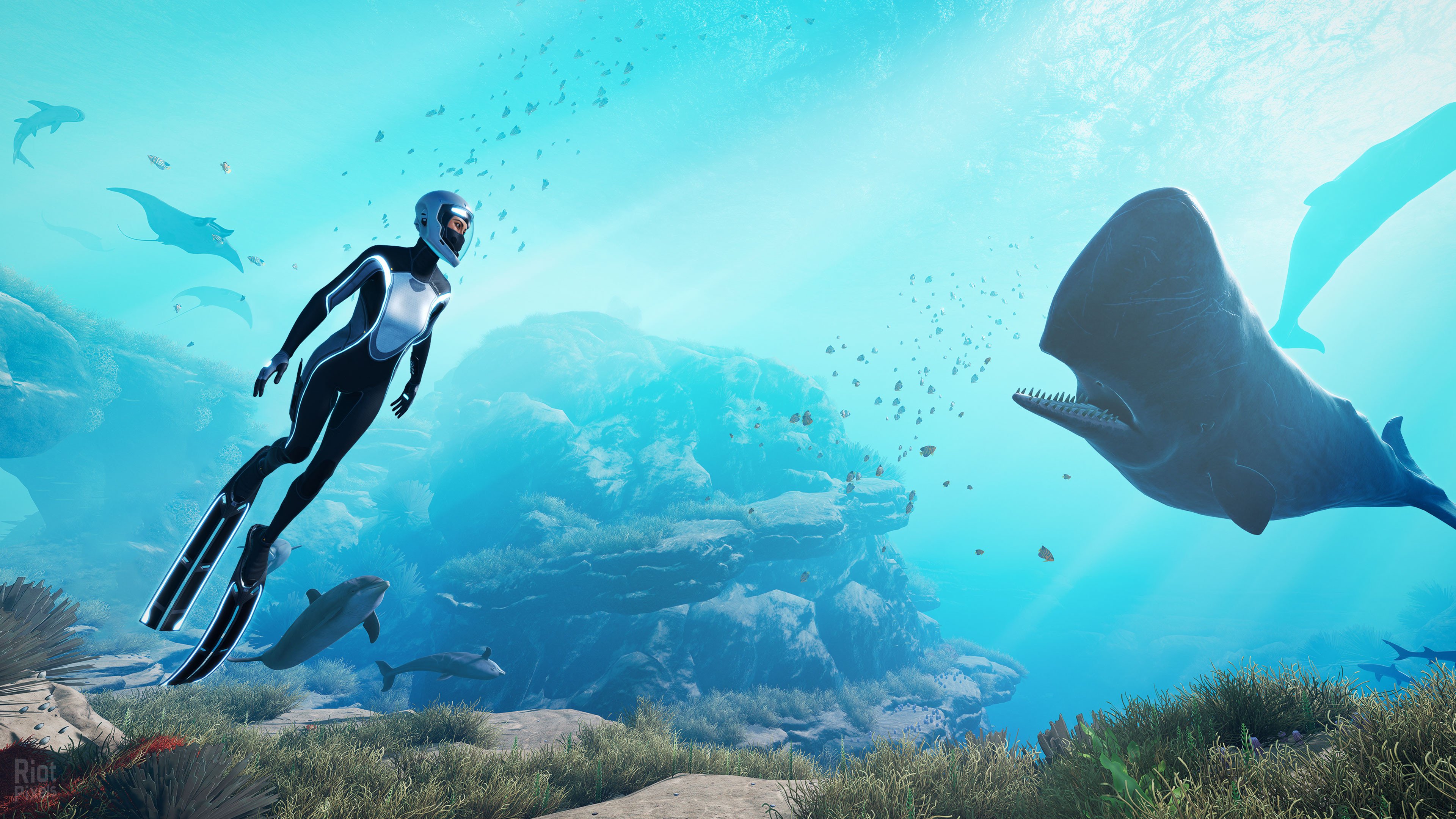 [17]-Beyond Blue – v1.7.17798 Download