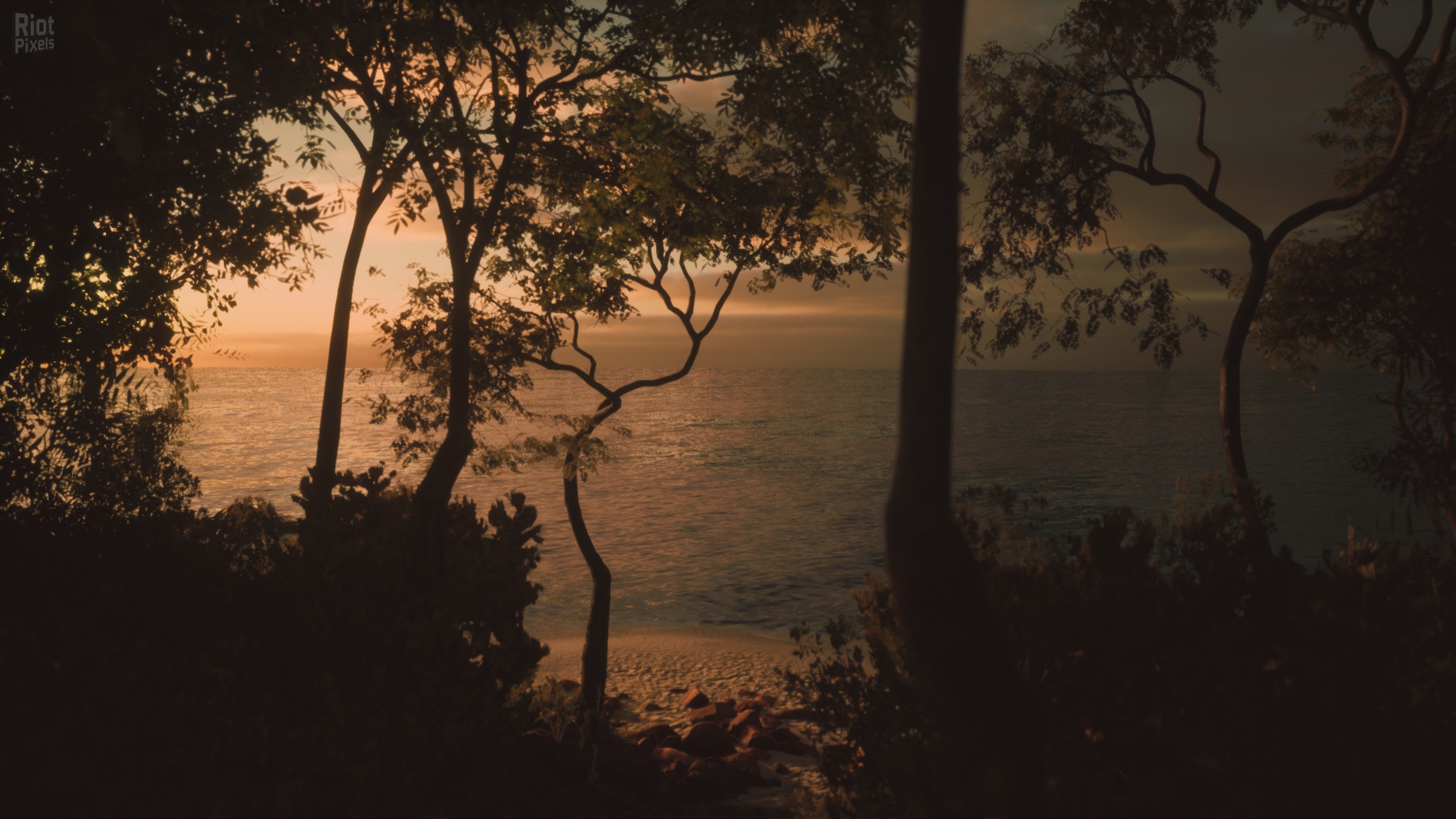 [16]-Lushfoil Photography Sim Download