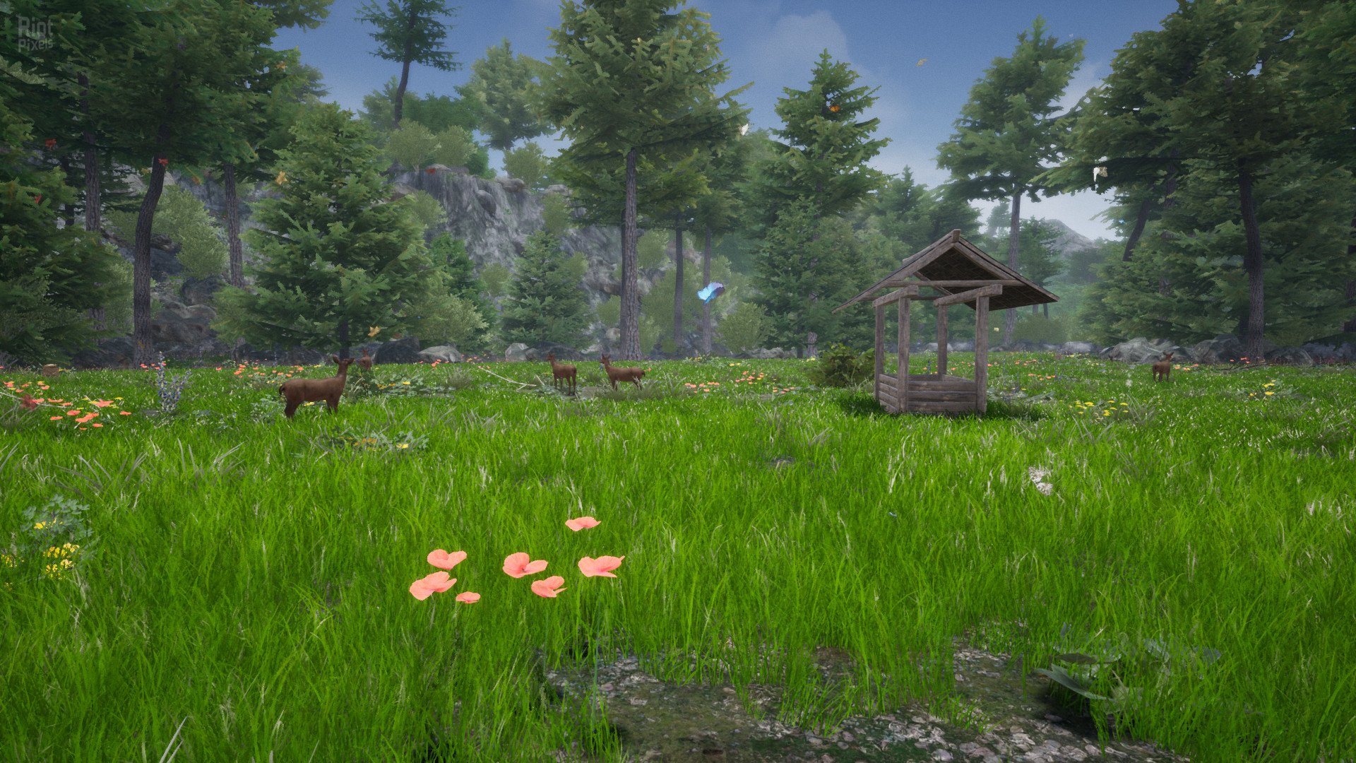 Horse Riding Deluxe 2-HohohoGames