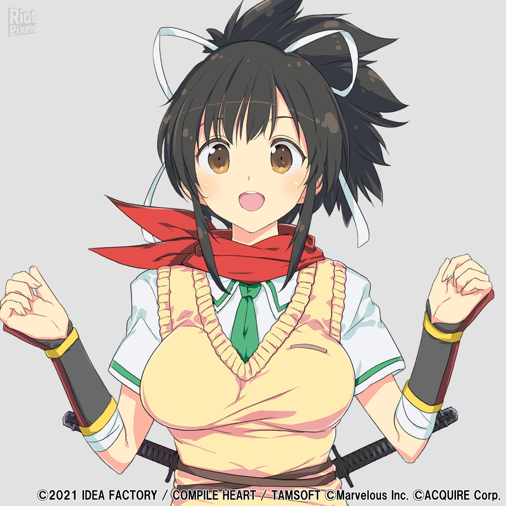 [21]-Neptunia x SENRAN KAGURA: Ninja Wars – v1.00 + v1.01 Download