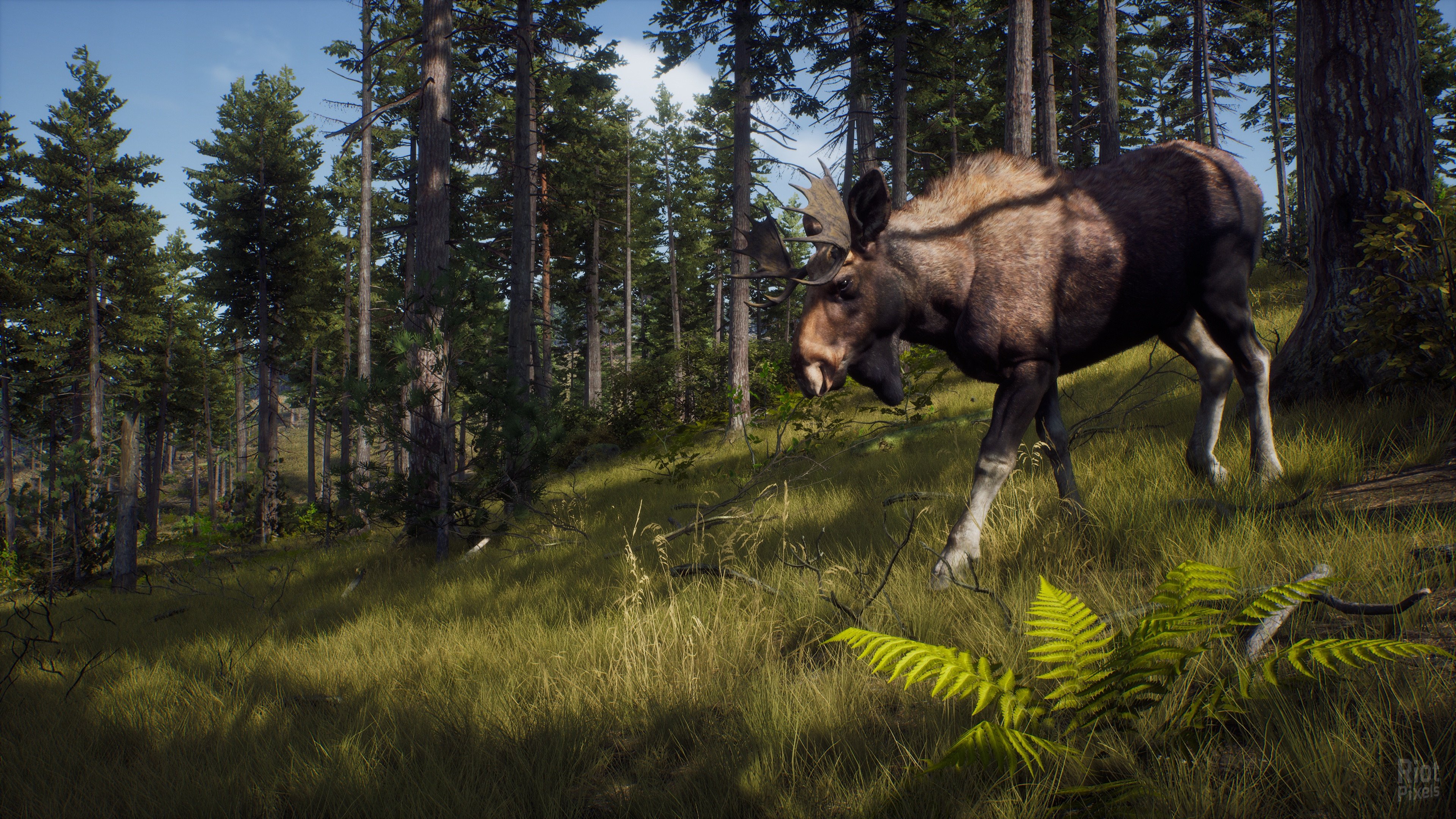 [5]-Way of the Hunter: Ultimate Edition – v1.6 + 10 DLCs + Windows 7 Fix Download