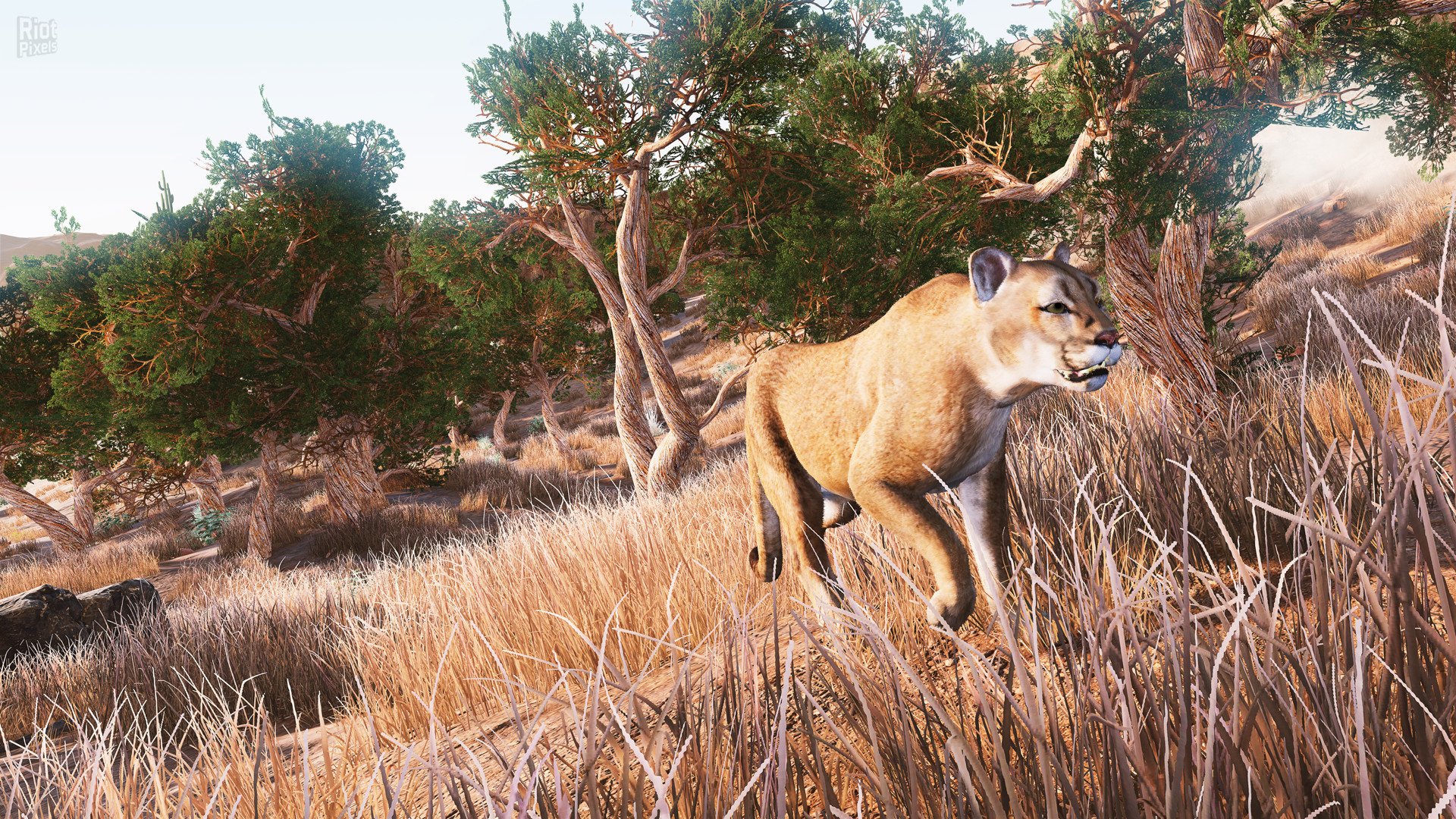[4]-Hunting Simulator – v1.2 + DLC Download