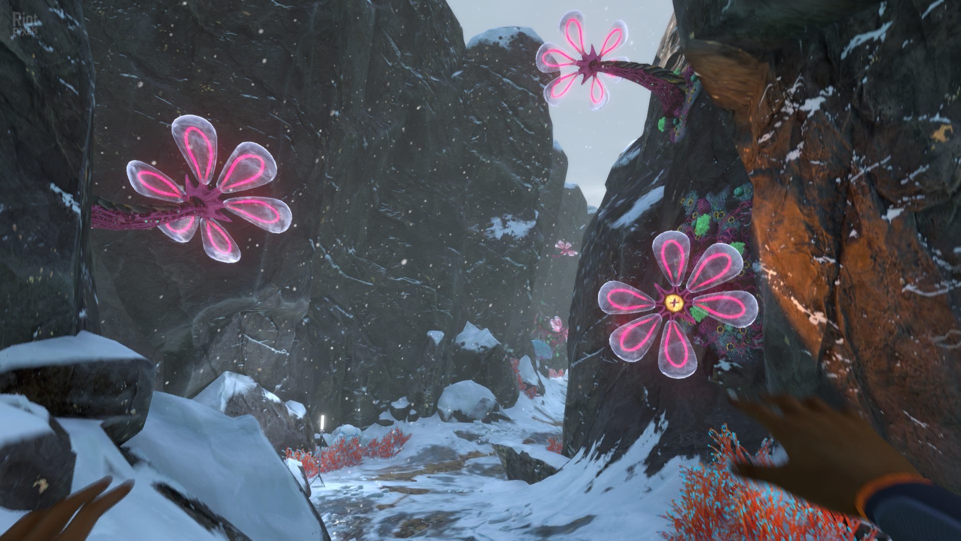 [5]-Subnautica: Below Zero – v1.0 Build 44290 Download