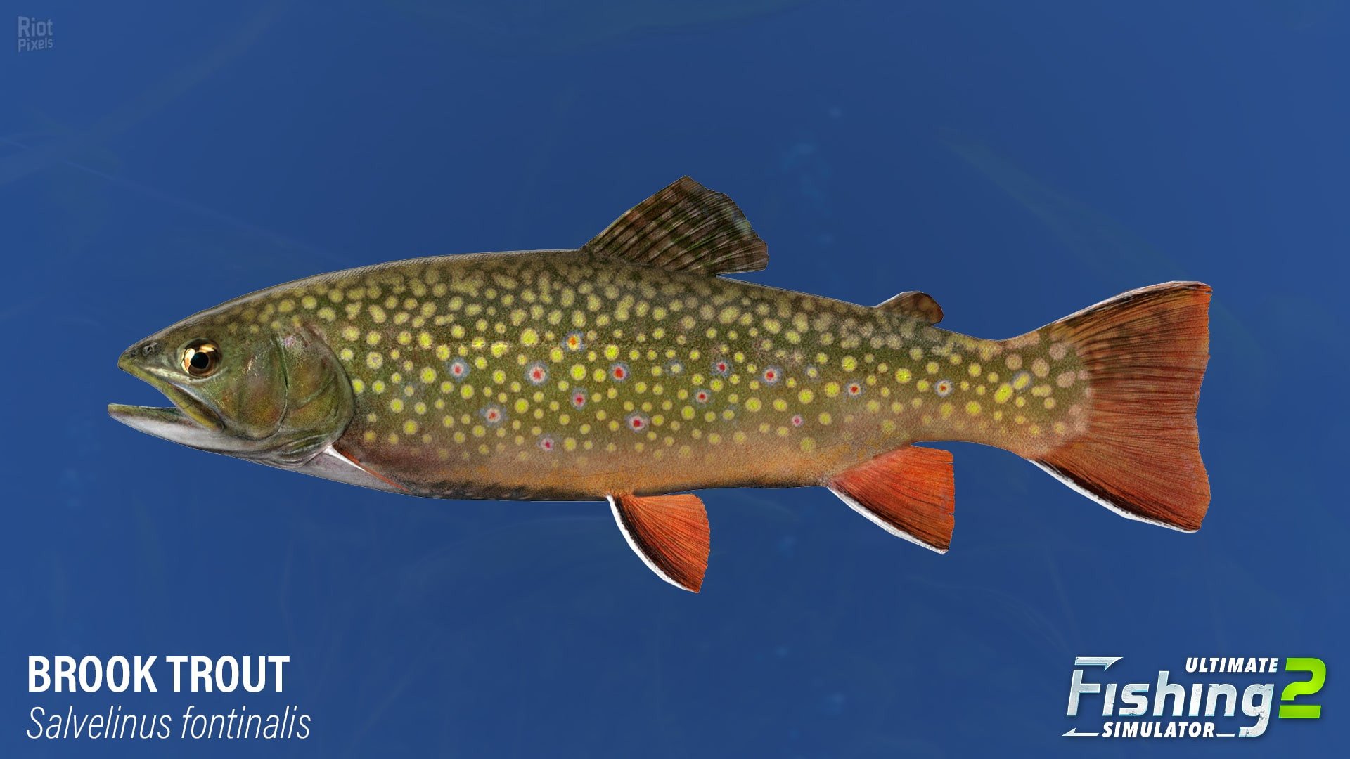 [21]-Ultimate Fishing Simulator 2 – v1.25.05.09.3975 Download