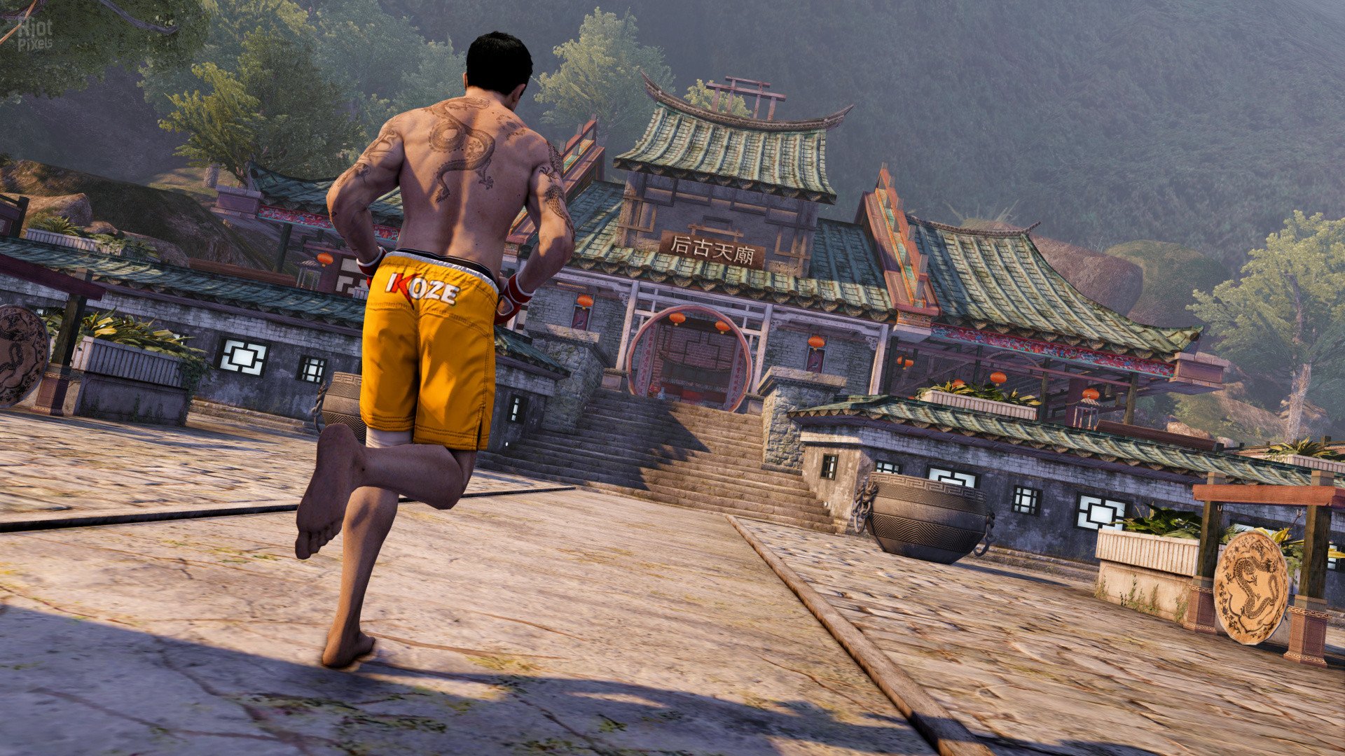 [16]-Sleeping Dogs: Definitive + Limited Editions Pack (24/30 DLCs) Download