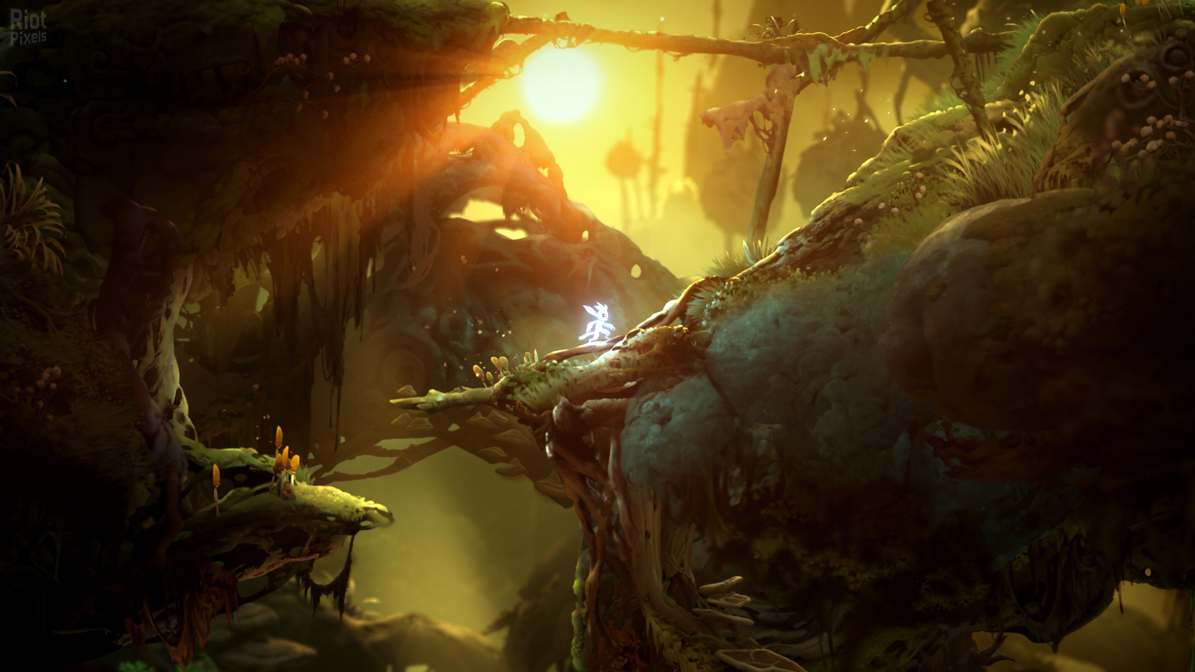 [5]-Ori and the Will of the Wisps Download