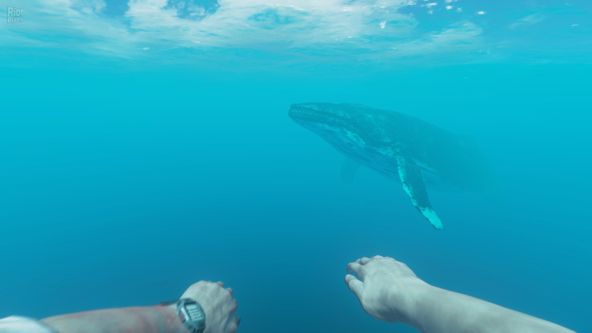[4]-Stranded Deep – v1.0.6.0.17 Release Download
