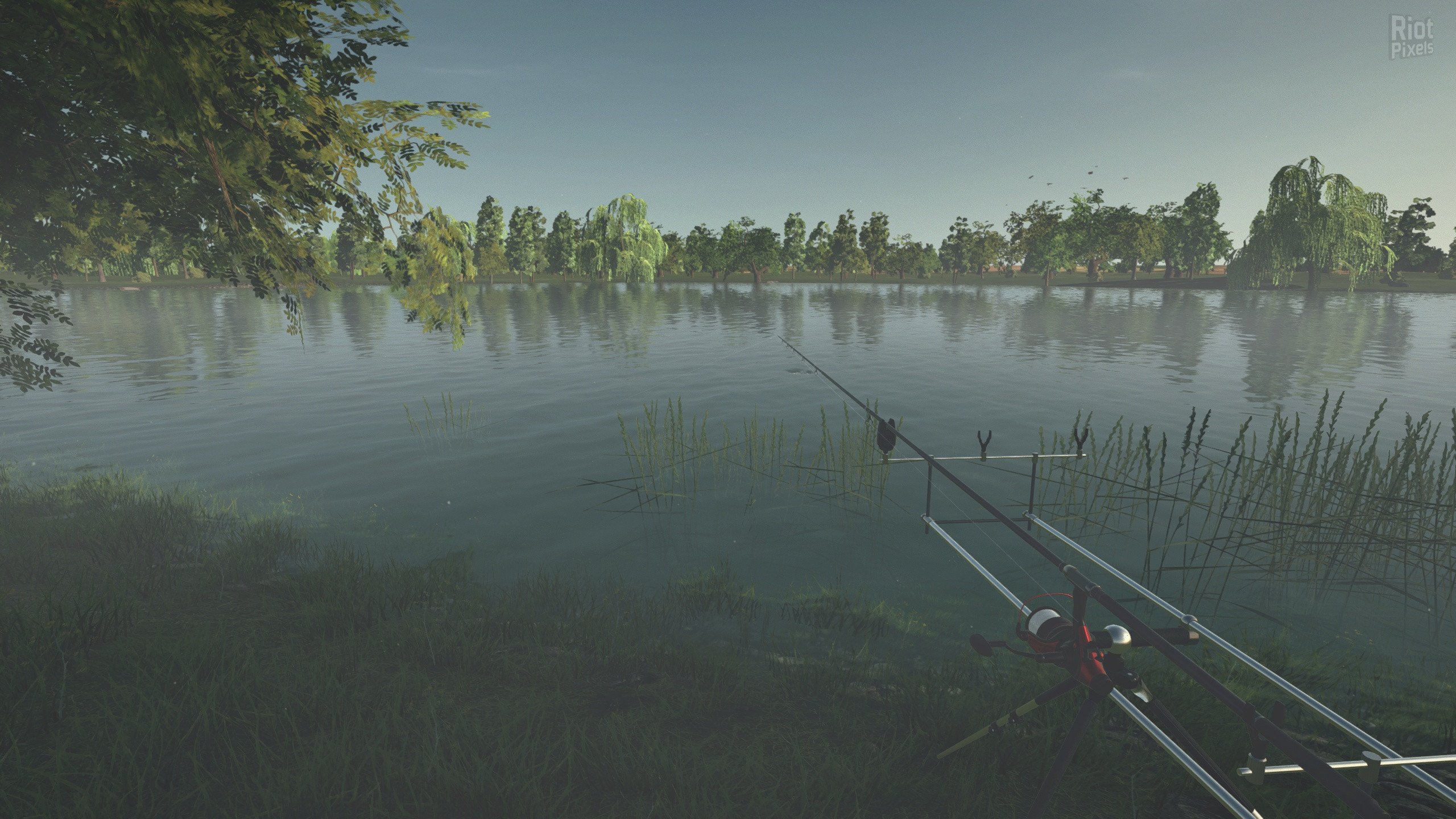 [11]-Ultimate Fishing Simulator: Gold Edition – v2.3.23.12:212 + 12 DLCs Download
