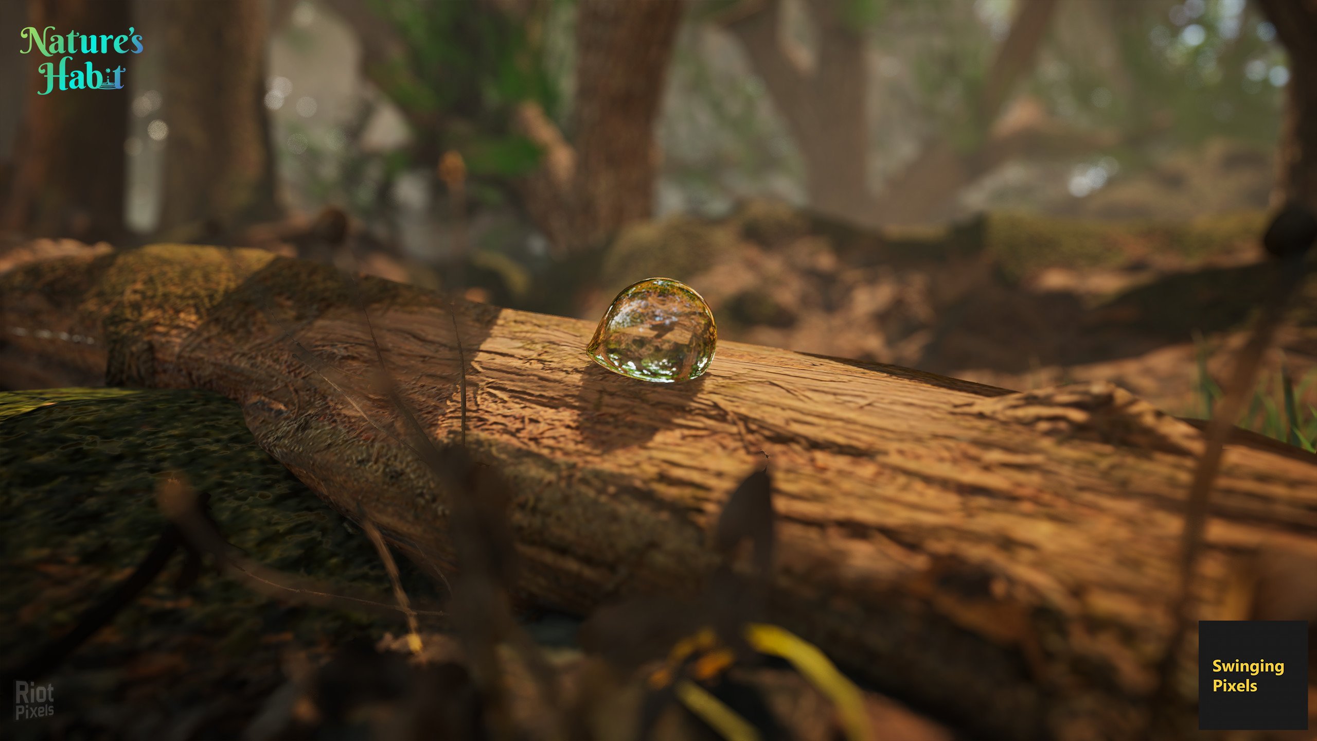 [5]-Nature’s Habit Download