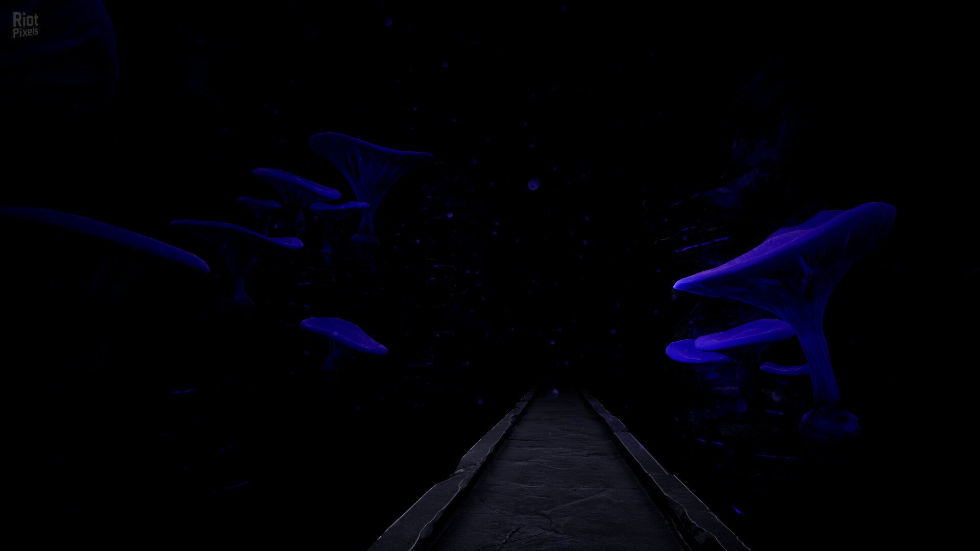 [6]-Rest Download