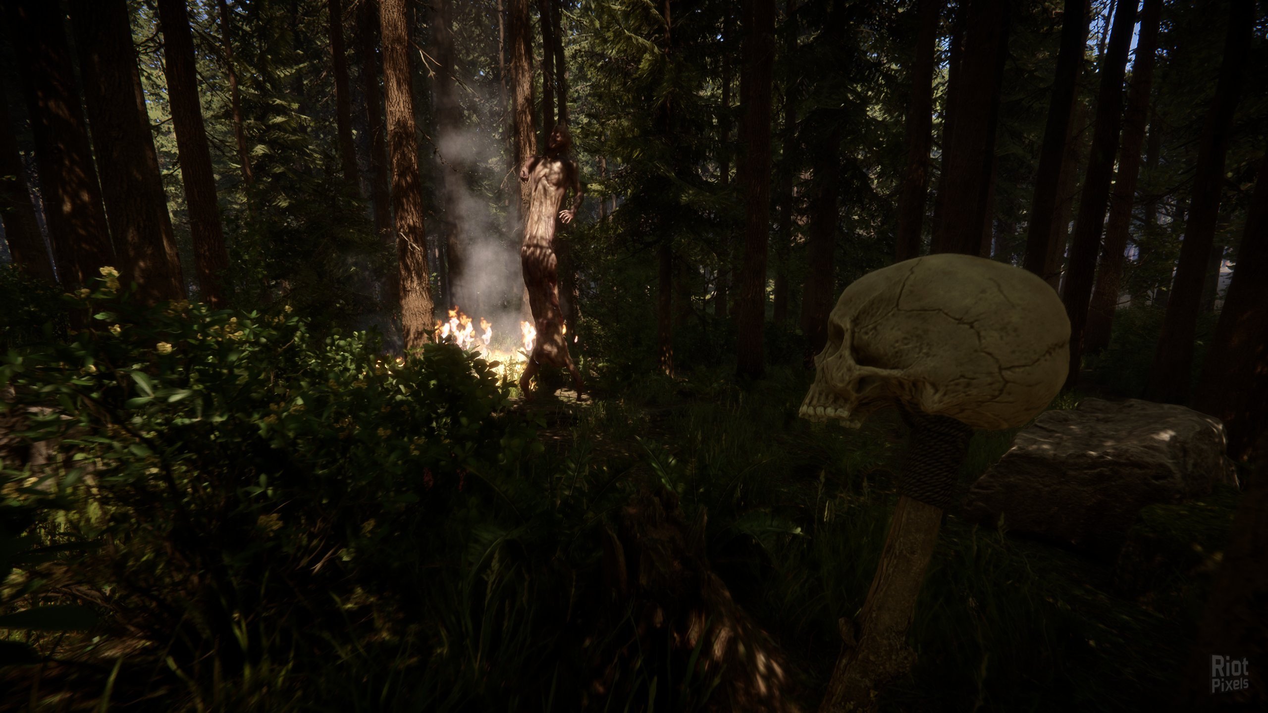 [10]-Sons of the Forest – v48738 + Multiplayer Download