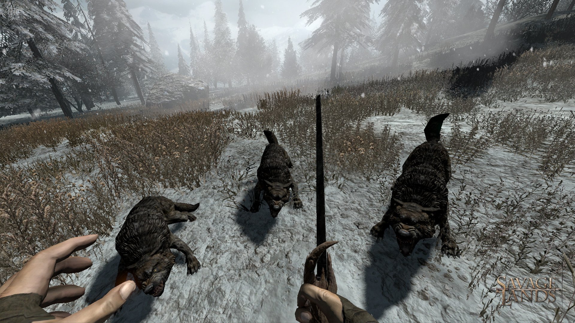 [11]-Savage Lands – v0.3.1 Build 7 Download