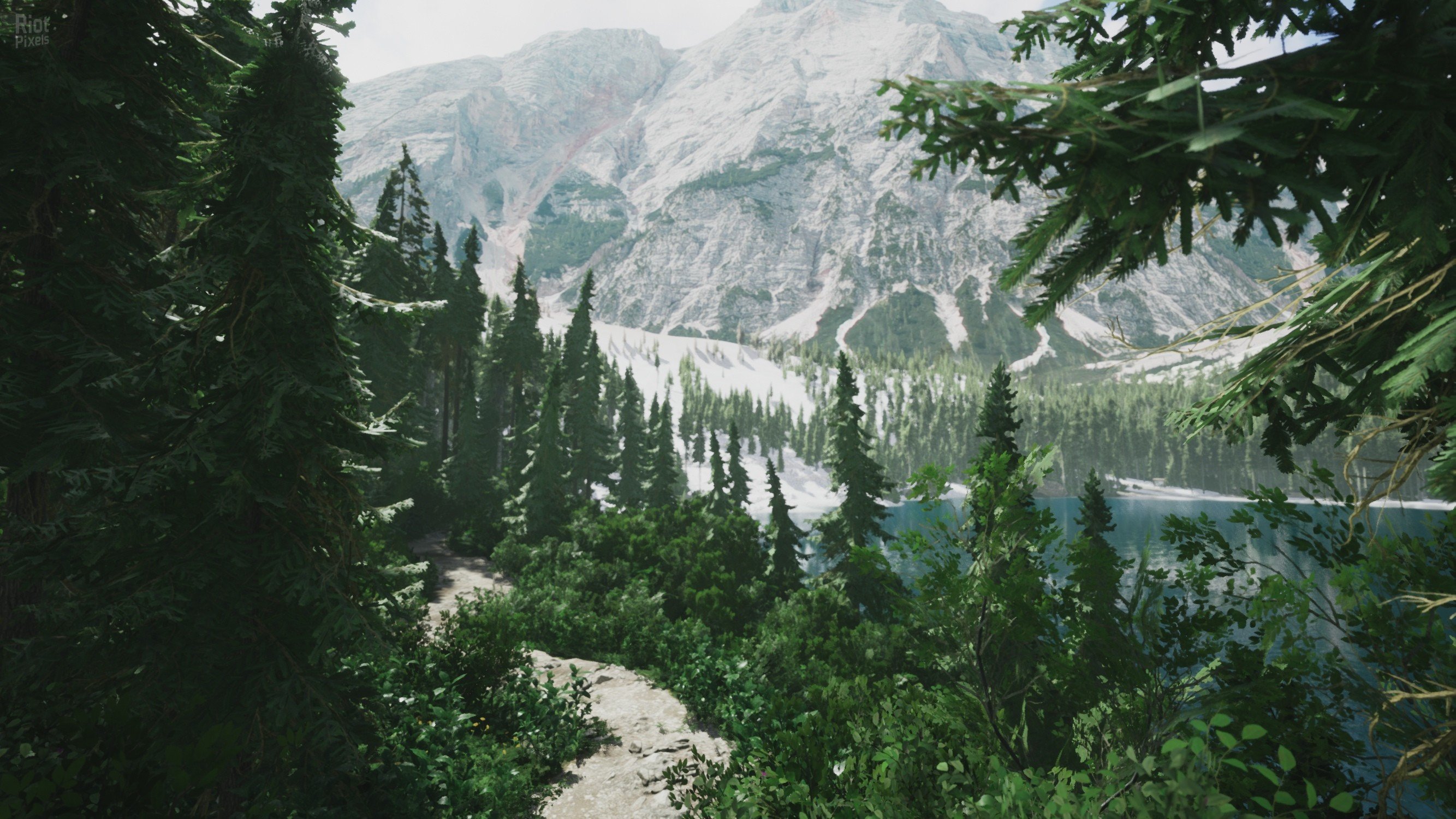 [3]-Lushfoil Photography Sim Download