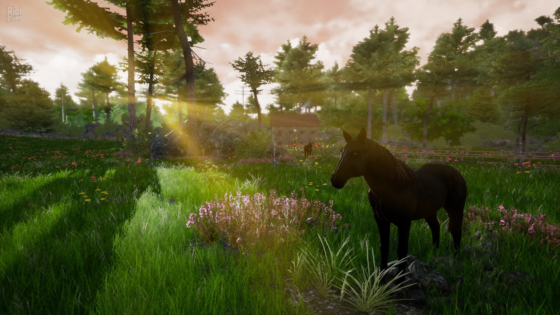 [6]-Horse Riding Deluxe 2 Download