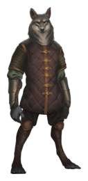 [31]-Banners of Ruin: Collection – v1.4.55 + 4 DLC/Bonuses Download