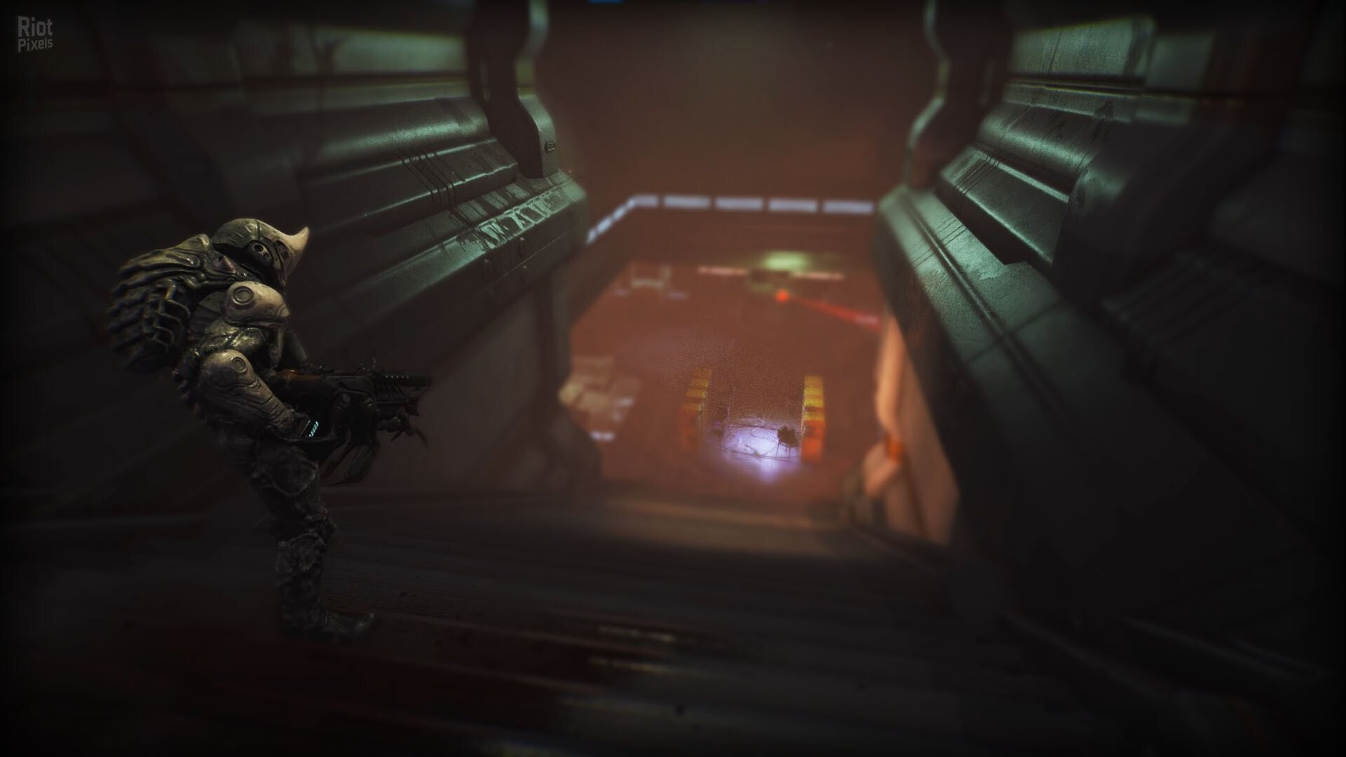 [13]-RIPOUT – v1.0:01 Download