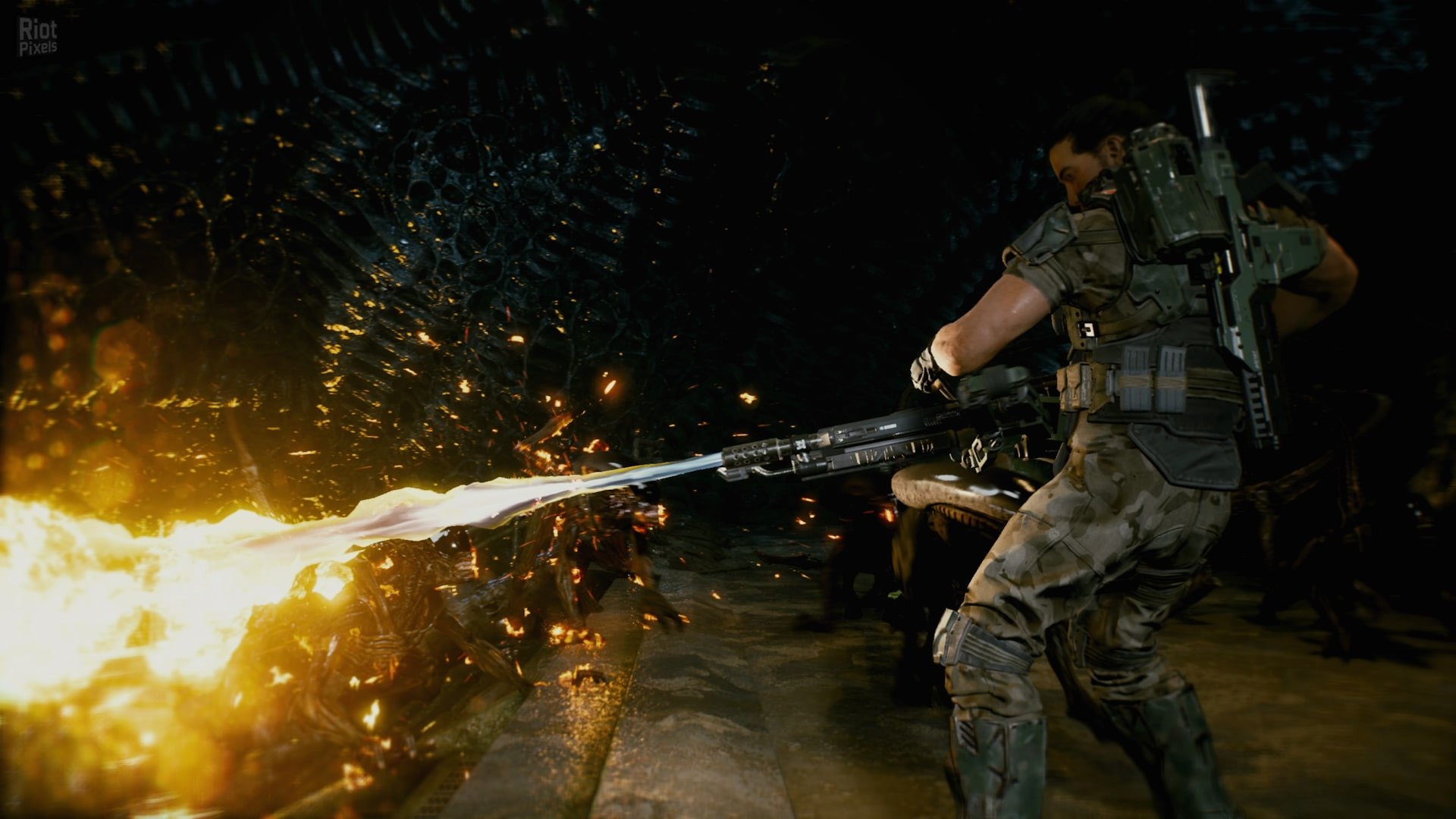 [9]-Aliens: Fireteam Elite – v1.0.5.101570 + 7 DLCs + Windows 7 Fix Download