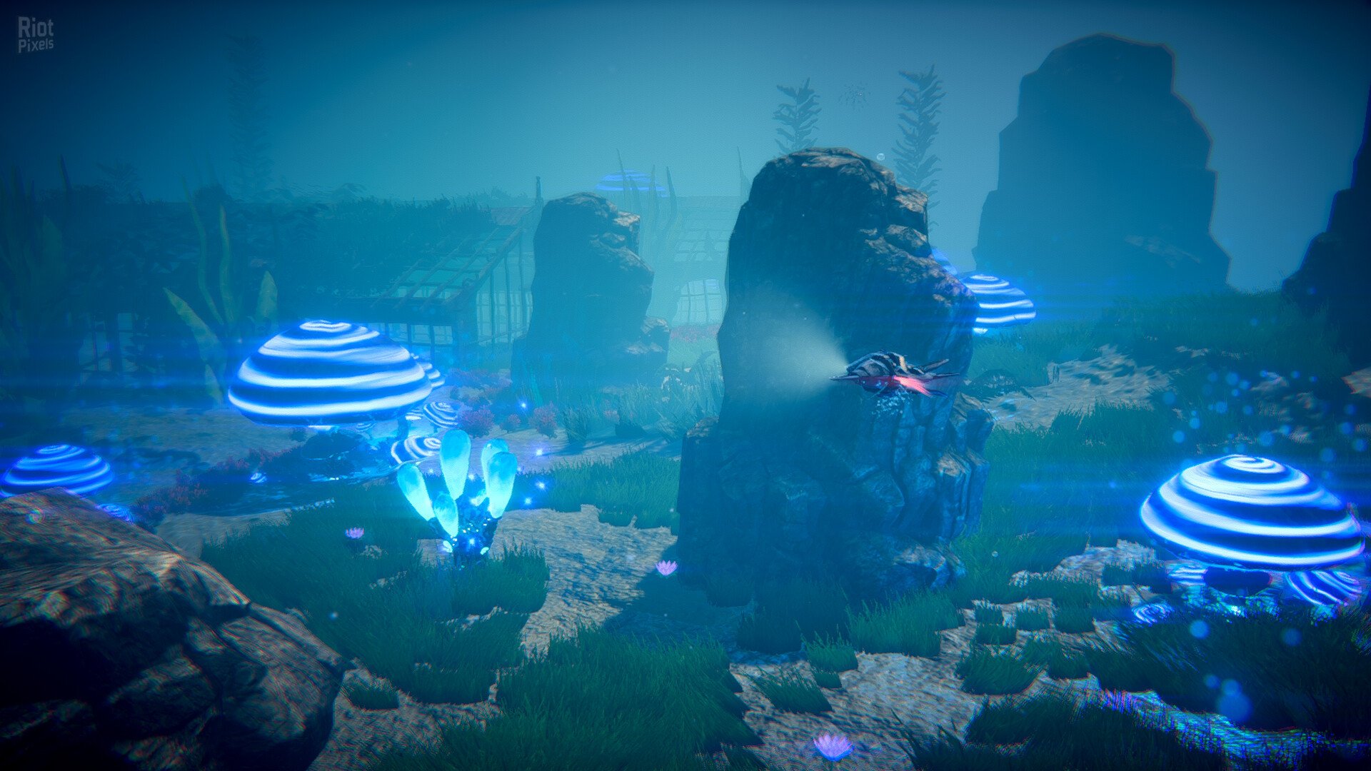 [11]-Stardiver Download