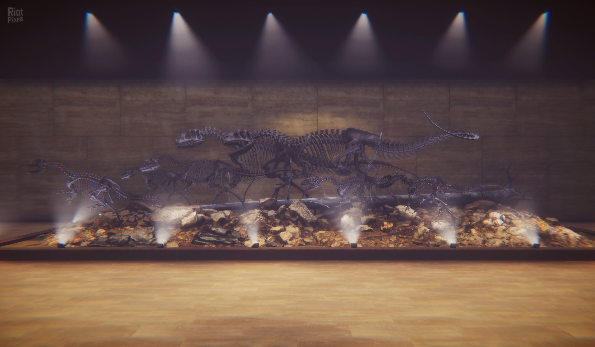[8]-Dinosaur Fossil Hunter – v2.0.21 Download
