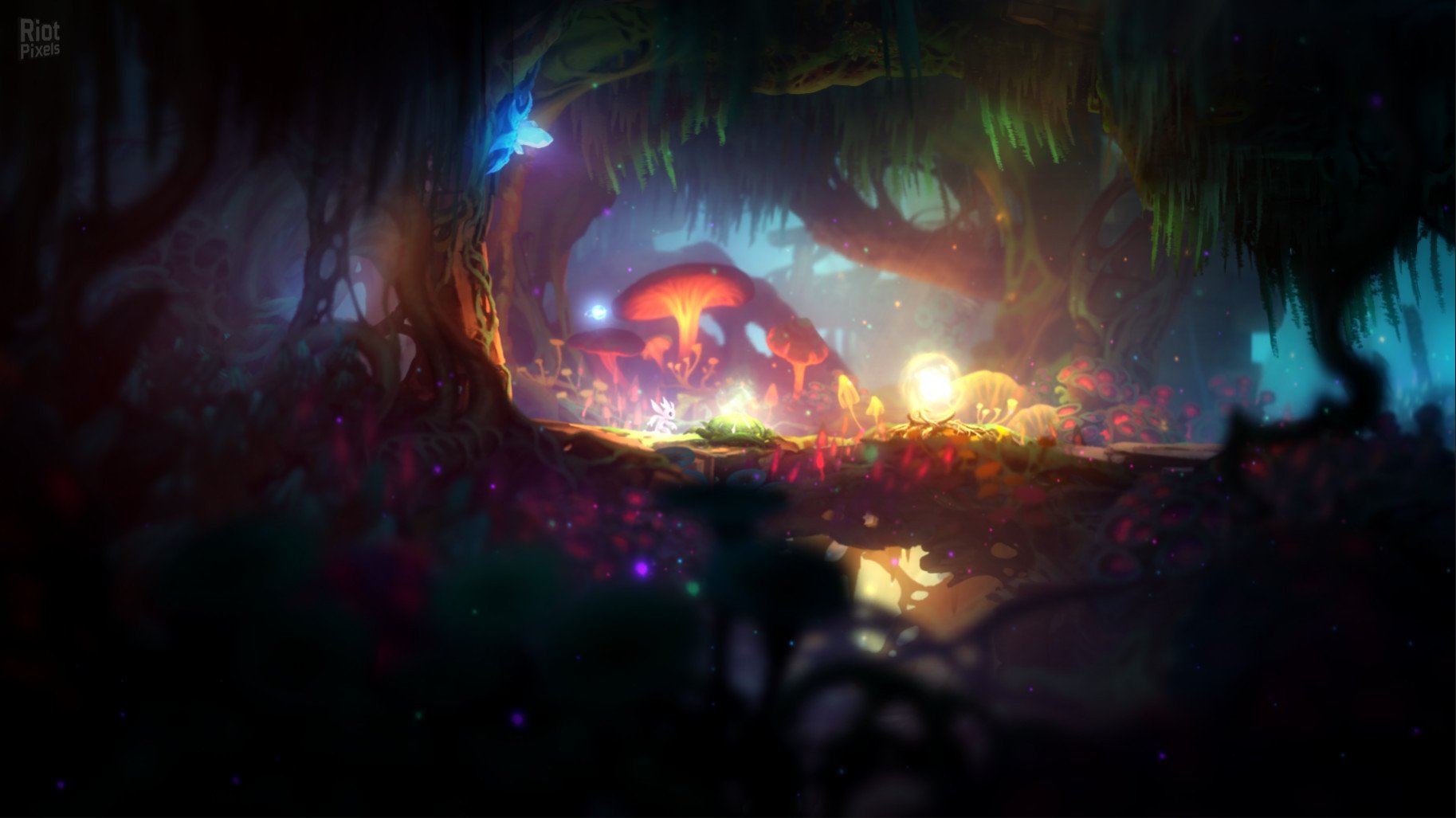 [8]-Ori and the Blind Forest: Definitive Edition Download