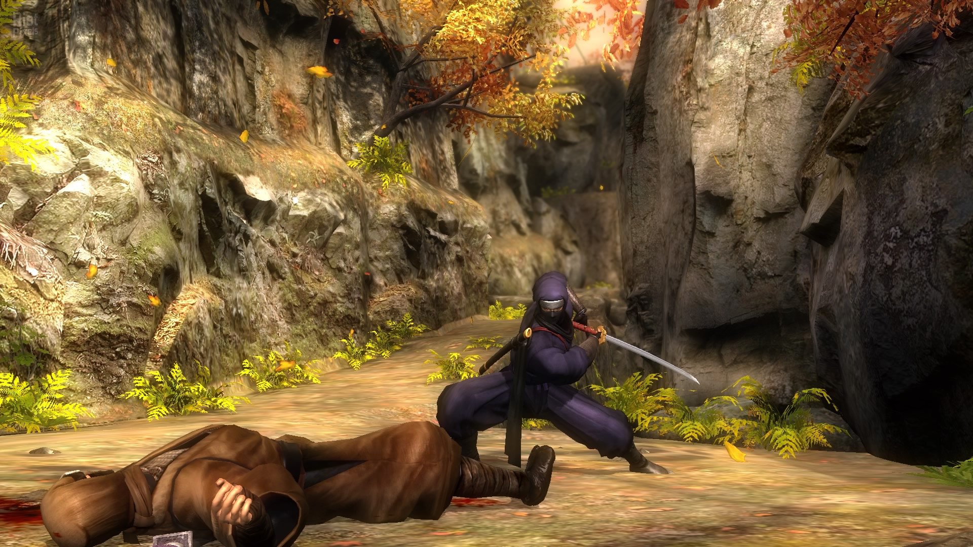 [14]-NINJA GAIDEN: Master Collection – Deluxe Edition – 3 Games + Bonus Content Download