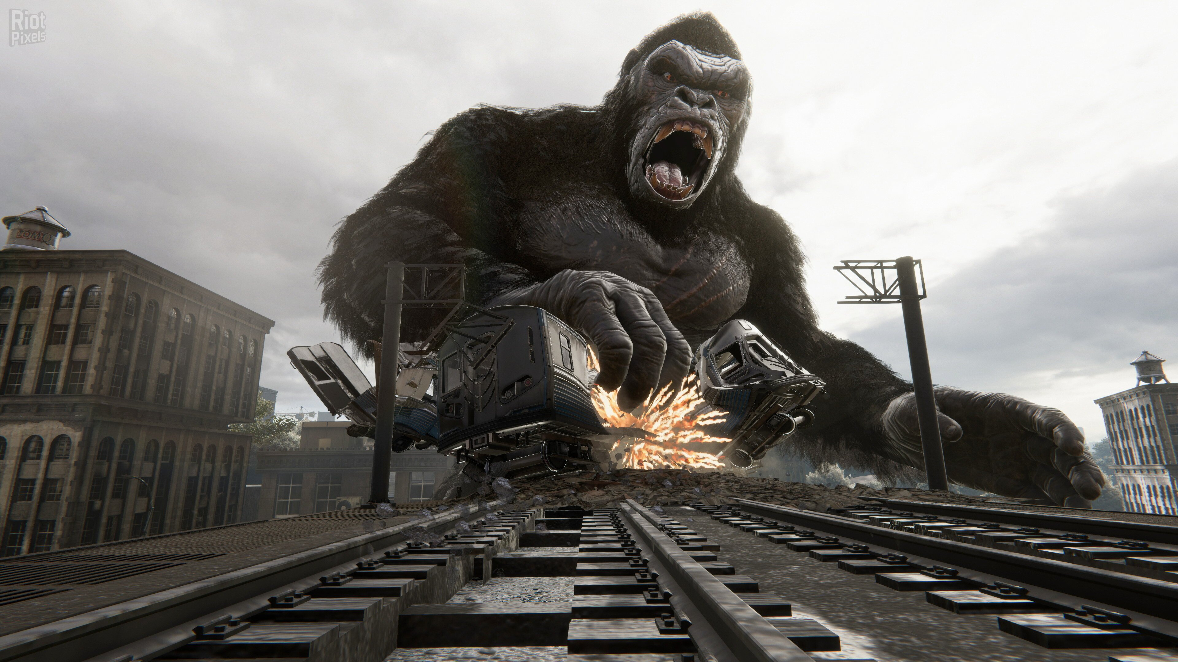 [13]-Kong: Survivor Instinct Download