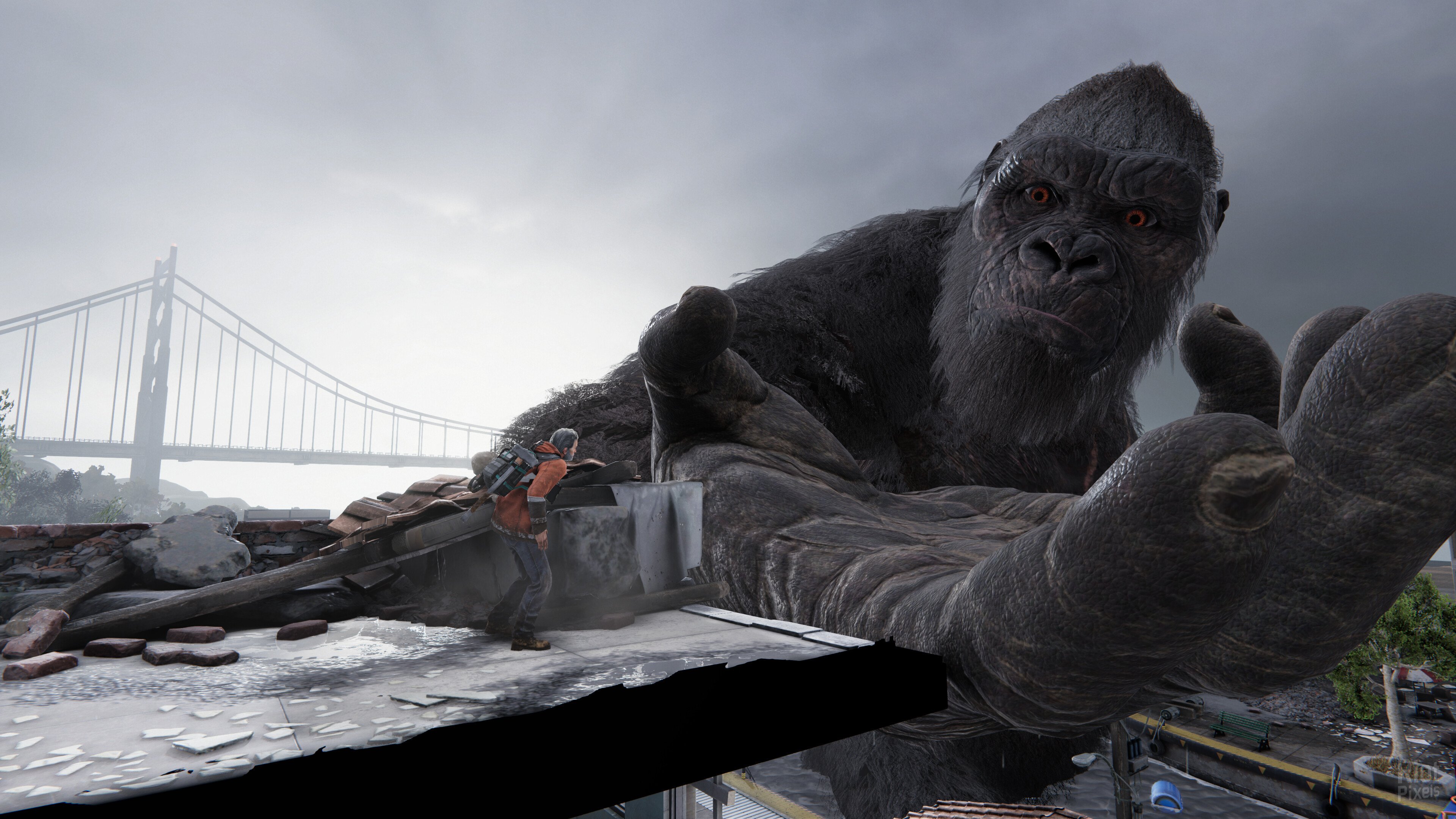 [6]-Kong: Survivor Instinct Download