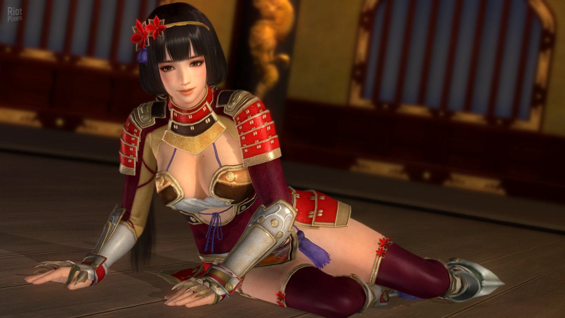 [8]-Dead or Alive 5: Last Round – v1.10C + All DLCs + Unlocker Download