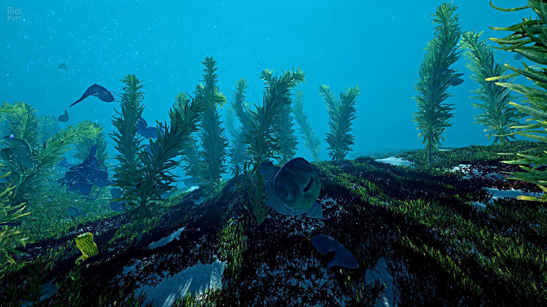 [16]-Ecosystem – v1.01 Download