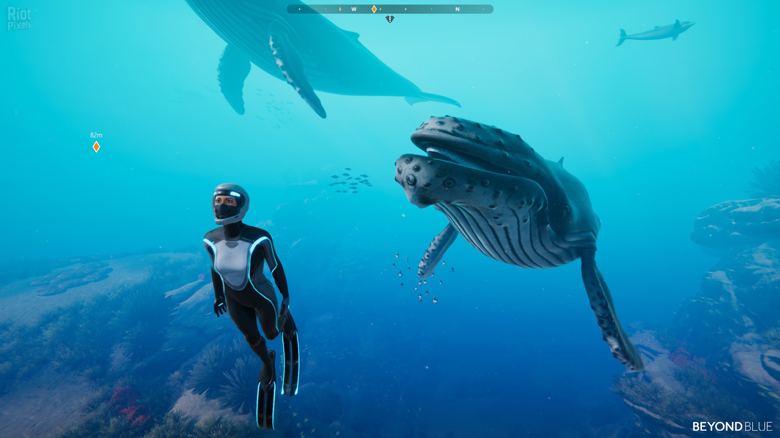 [12]-Beyond Blue – v1.7.17798 Download